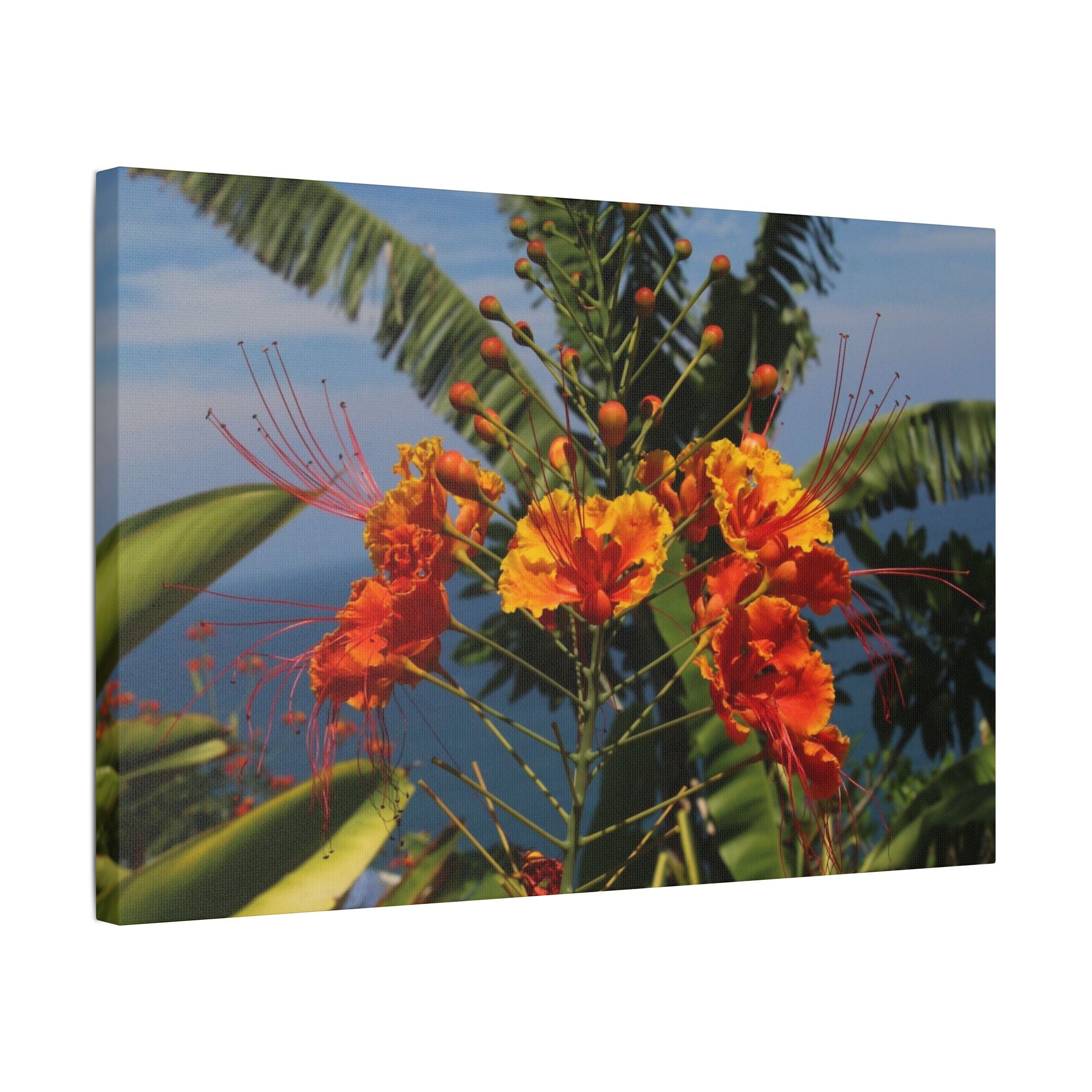 Tropical Flame Flower Satin Canvas Wall Art – Vibrant Orange Floral Stretched Print