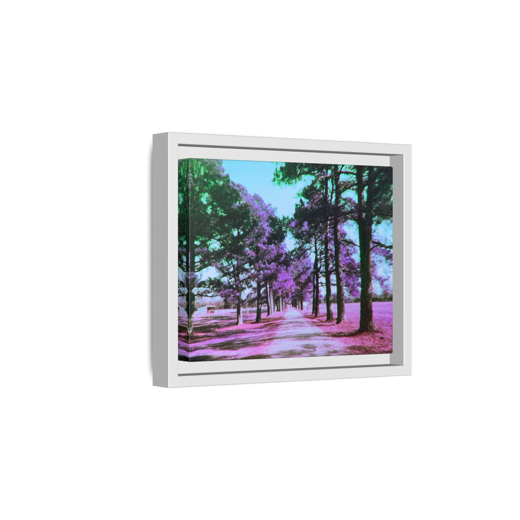 Framed Matte Canvas Print — Paris,Texas Lomochrome Purple Landscape