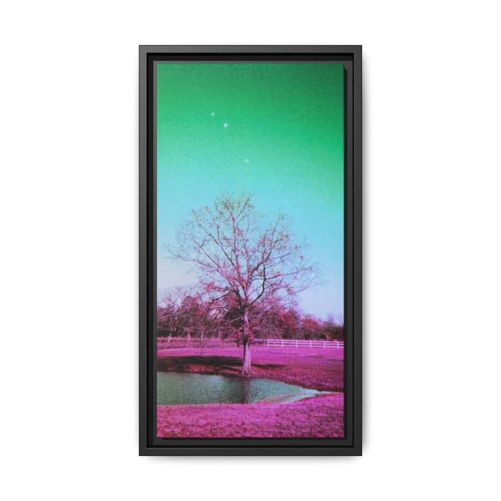 Pastel Paris, Tx Landscape Matte Canvas (Framed)