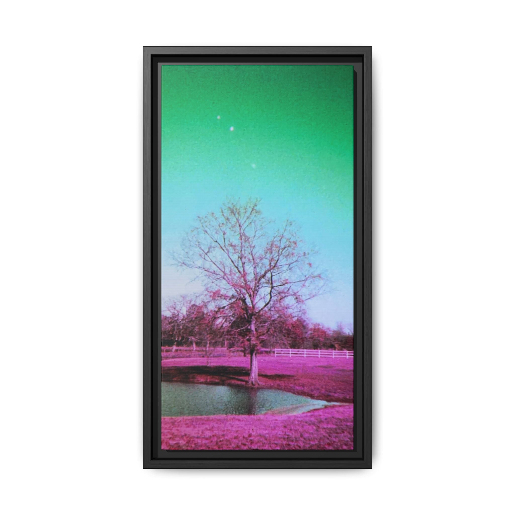 Pastel Paris, Tx Landscape Matte Canvas (Framed)