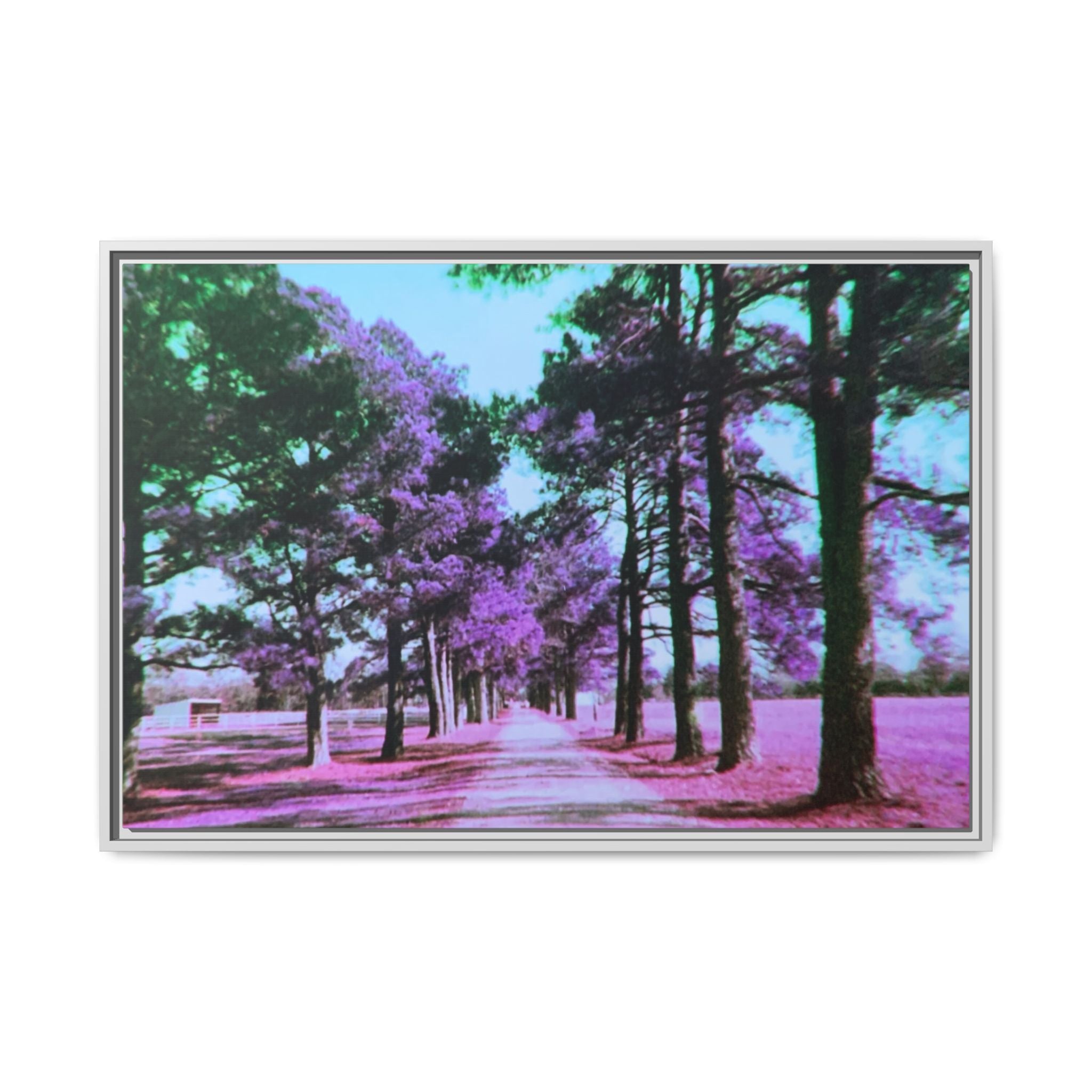 Framed Matte Canvas Print — Paris,Texas Lomochrome Purple Landscape