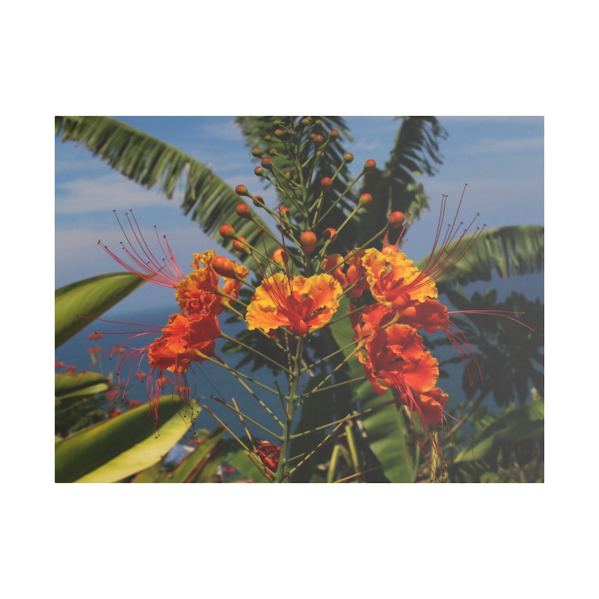 Tropical Flame Flower Satin Canvas Wall Art – Vibrant Orange Floral Stretched Print