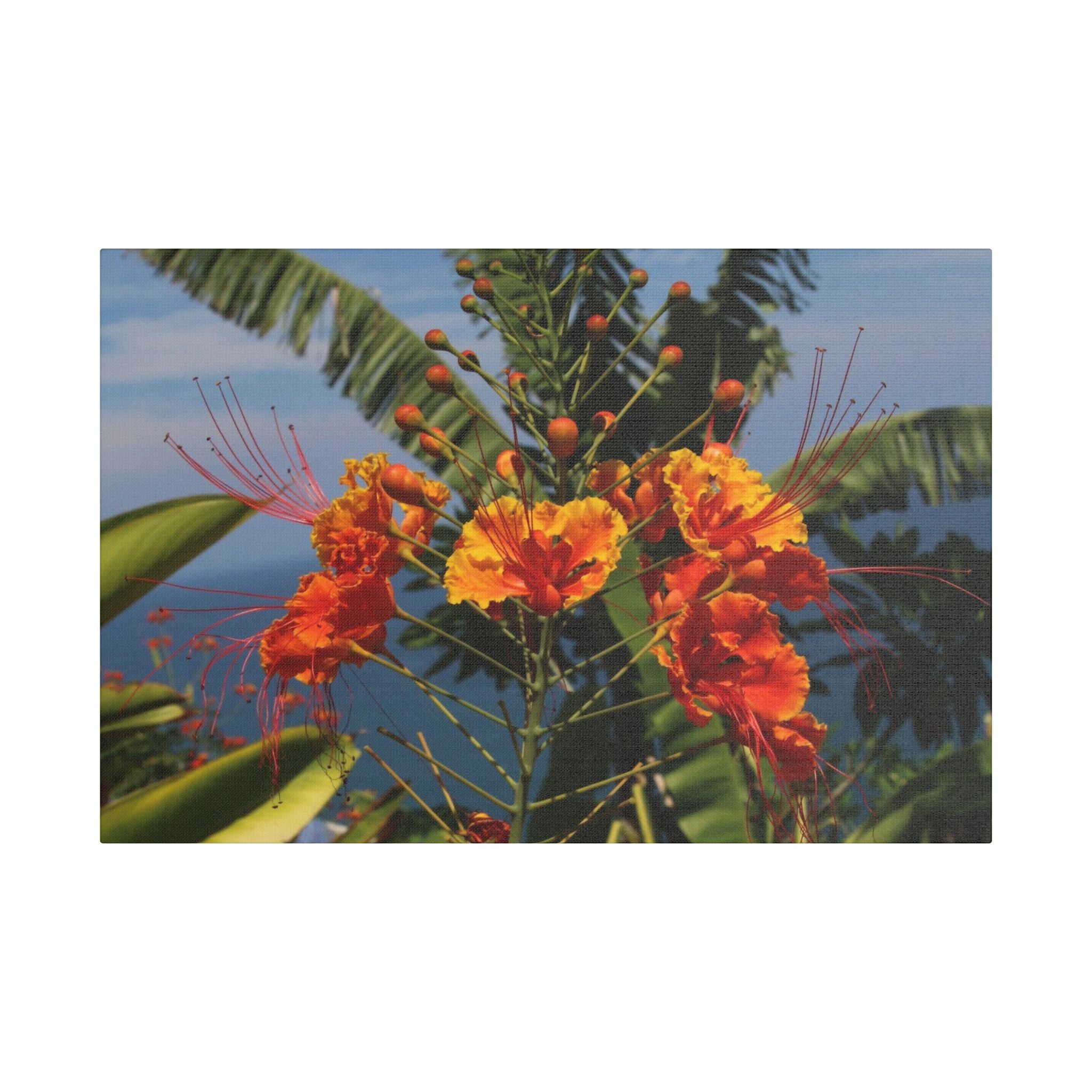 Tropical Flame Flower Satin Canvas Wall Art – Vibrant Orange Floral Stretched Print