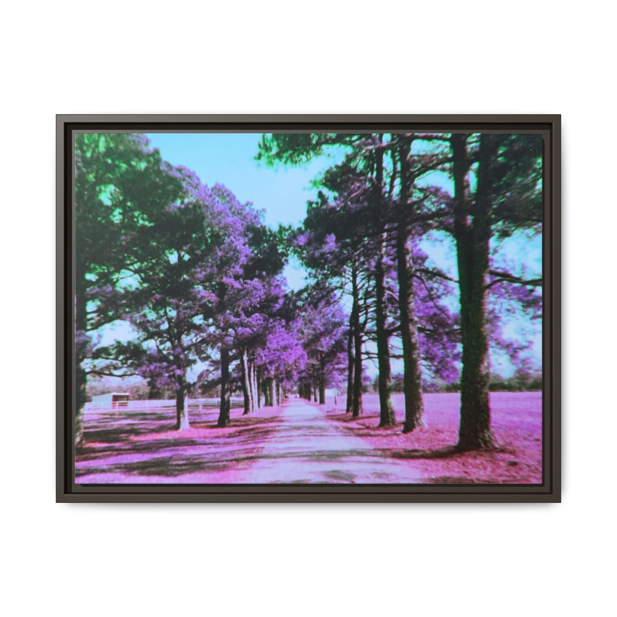 Framed Matte Canvas Print — Paris,Texas Lomochrome Purple Landscape