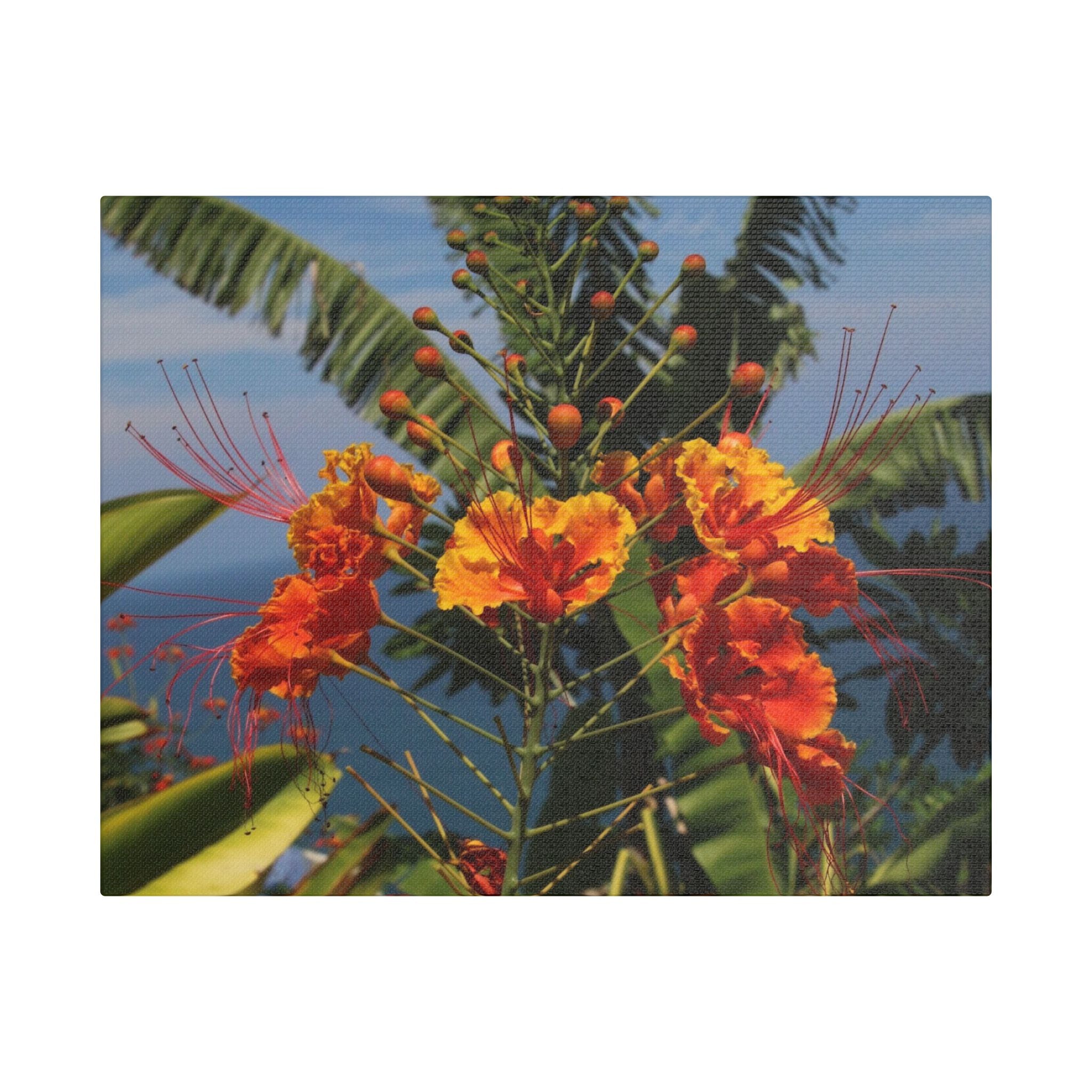 Tropical Flame Flower Satin Canvas Wall Art – Vibrant Orange Floral Stretched Print