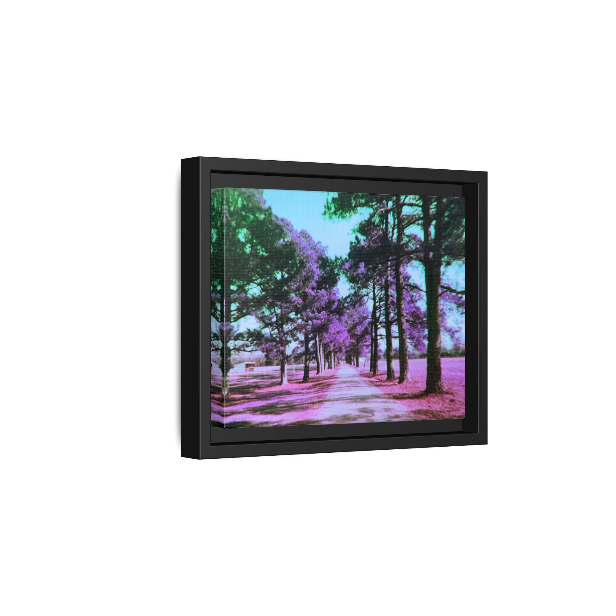 Framed Matte Canvas Print — Paris,Texas Lomochrome Purple Landscape
