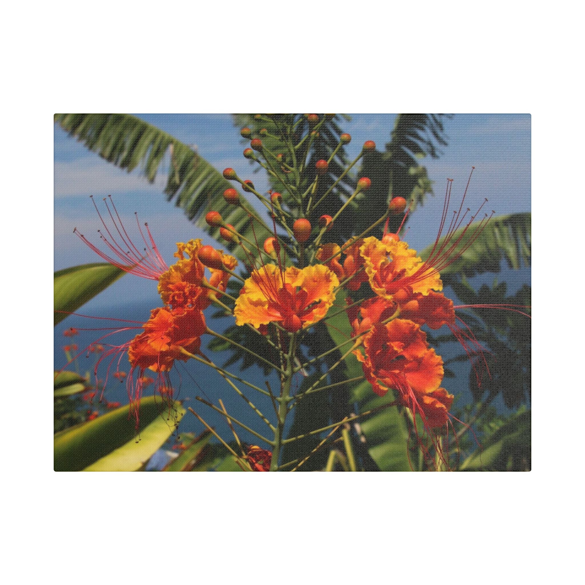 Tropical Flame Flower Satin Canvas Wall Art – Vibrant Orange Floral Stretched Print