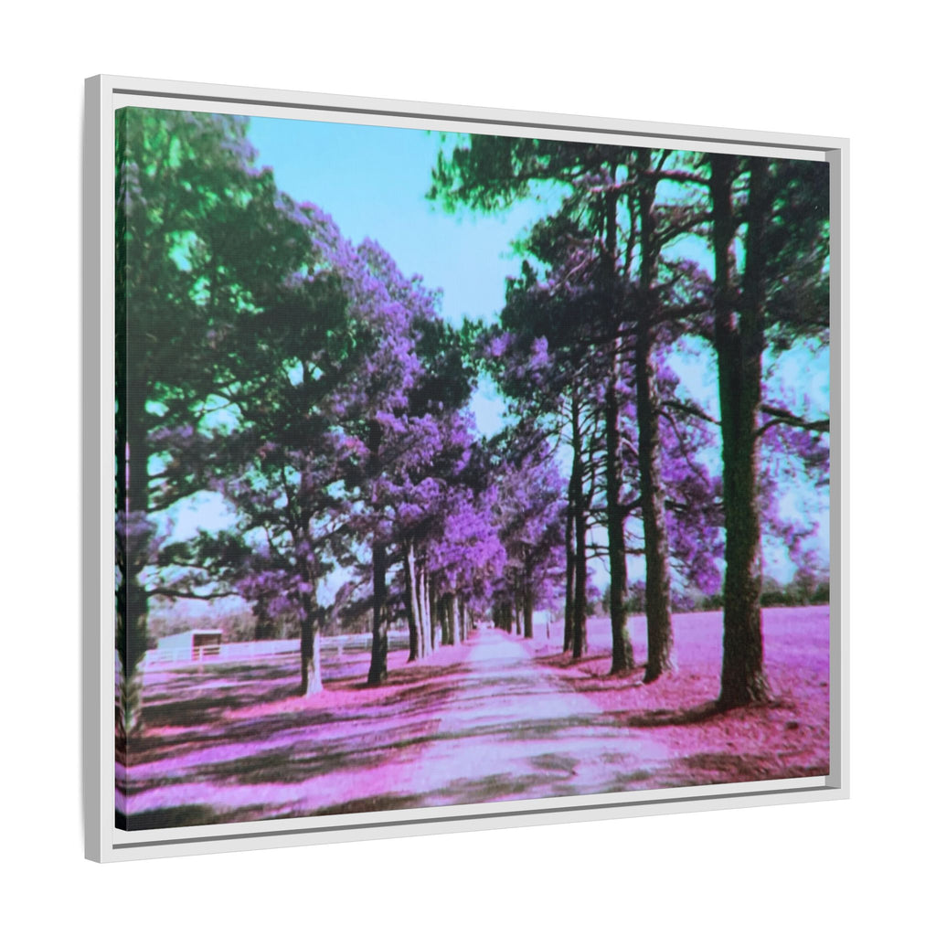 Framed Matte Canvas Print — Paris,Texas Lomochrome Purple Landscape