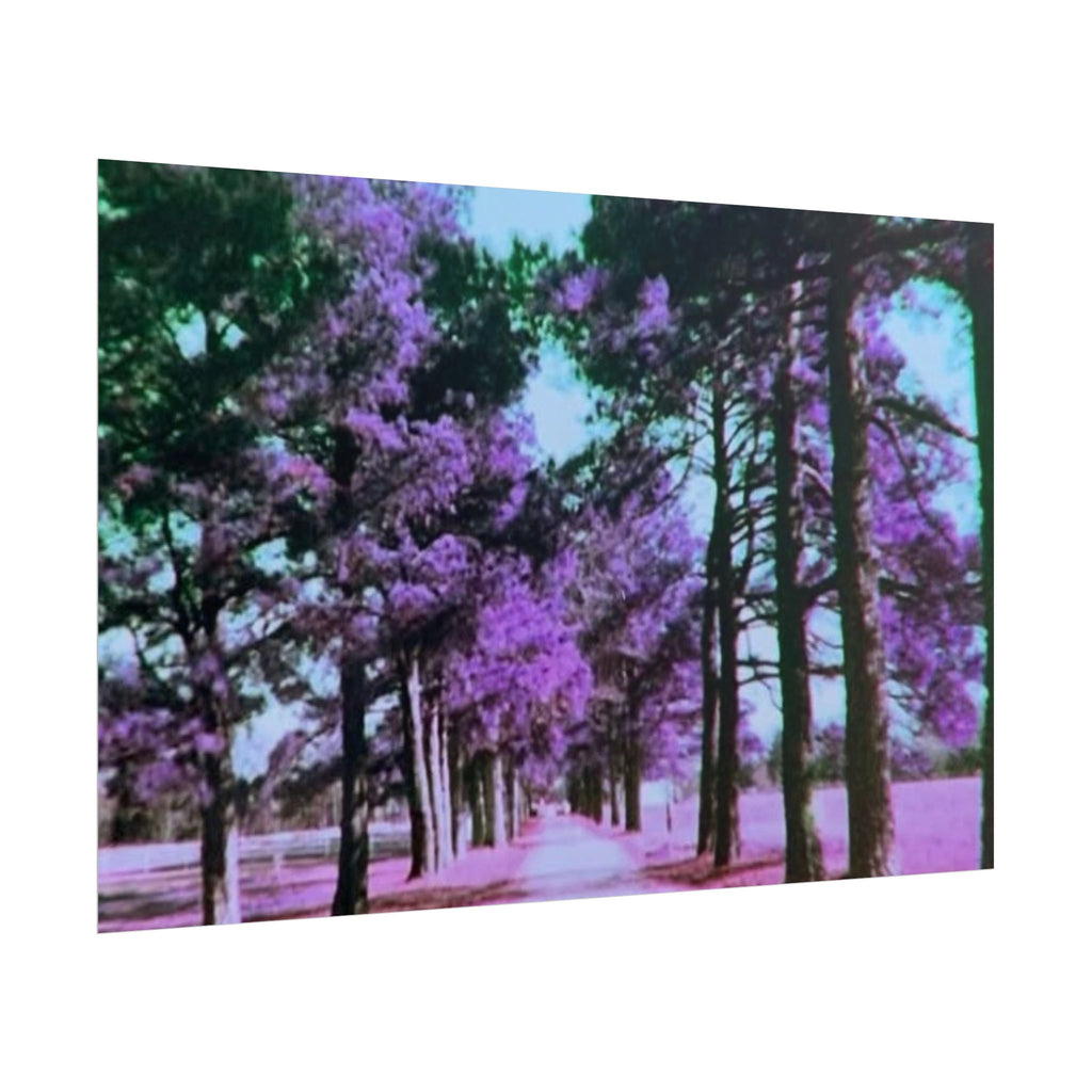 Rolled Posters
