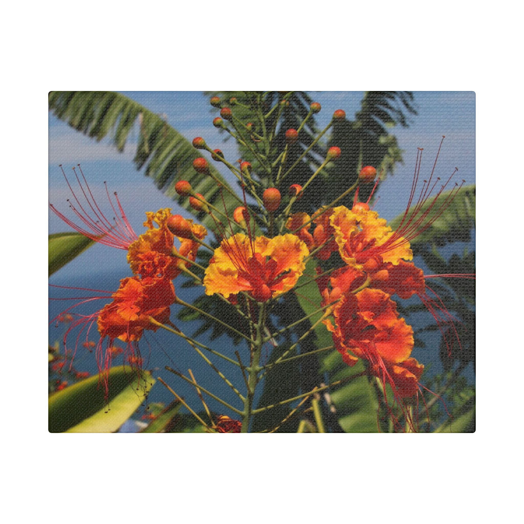 Tropical Flame Flower Satin Canvas Wall Art – Vibrant Orange Floral Stretched Print