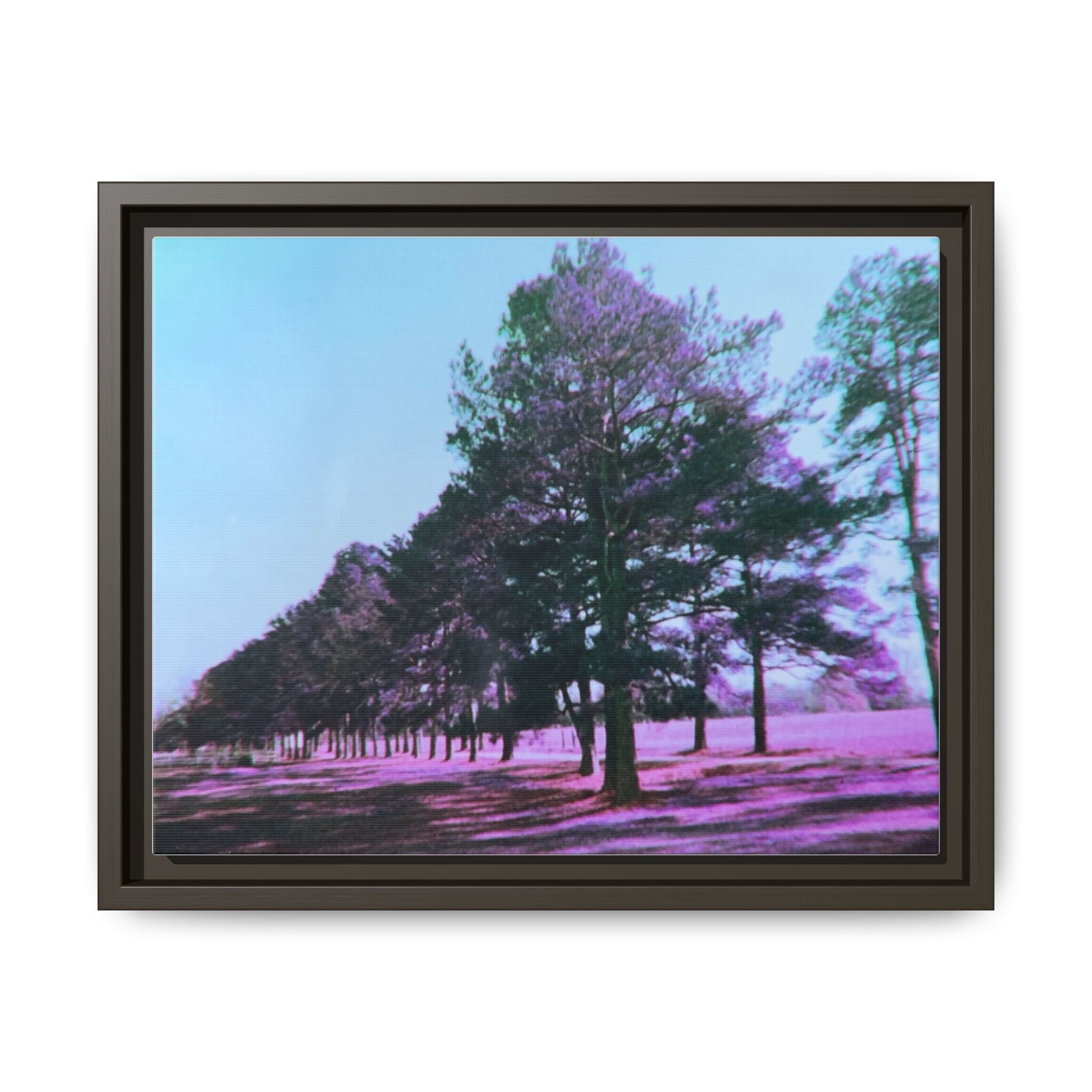 Framed Matte Canvas Print — Lomochrome Purple Tree Landscape