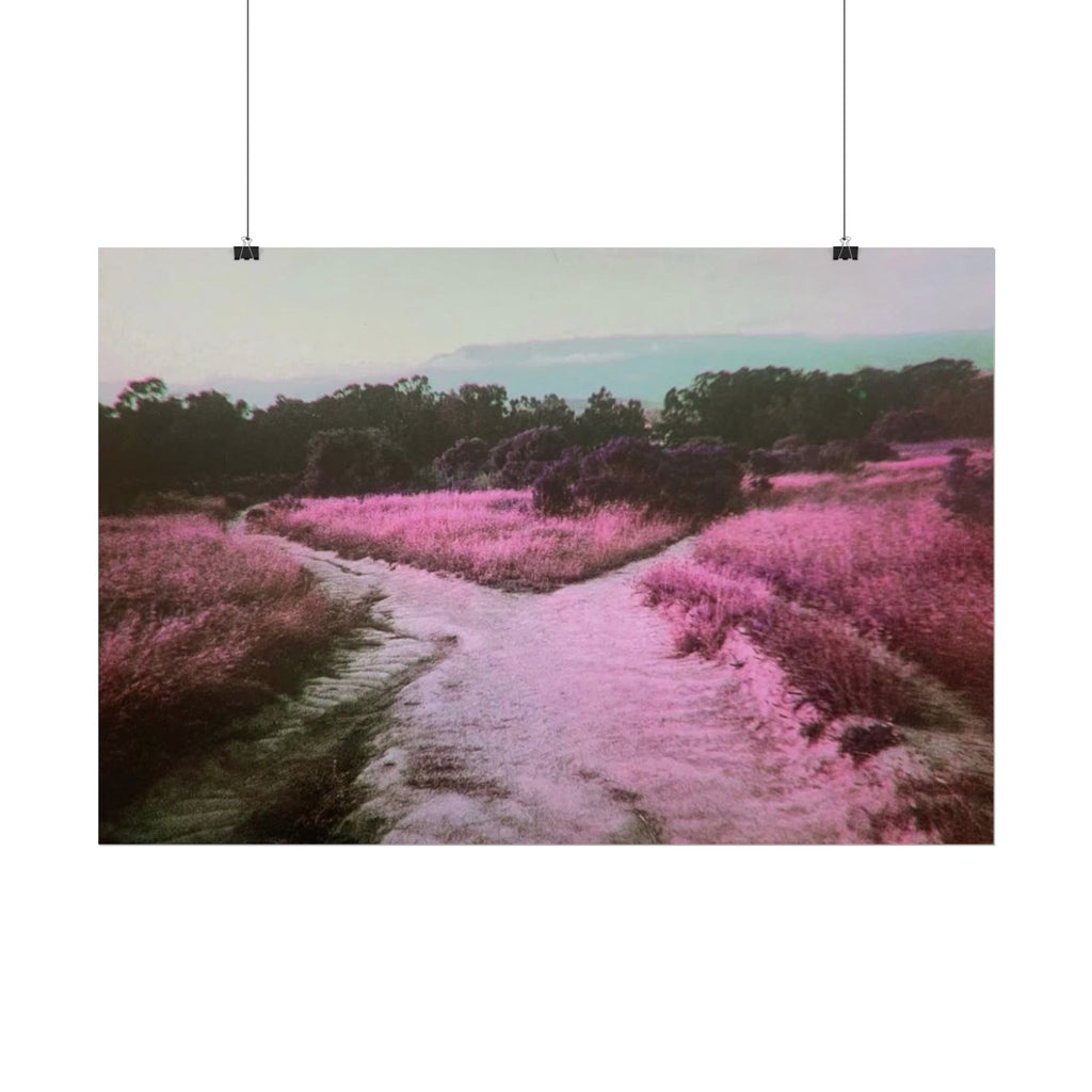 Rolled Posters