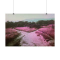 Rolled Posters