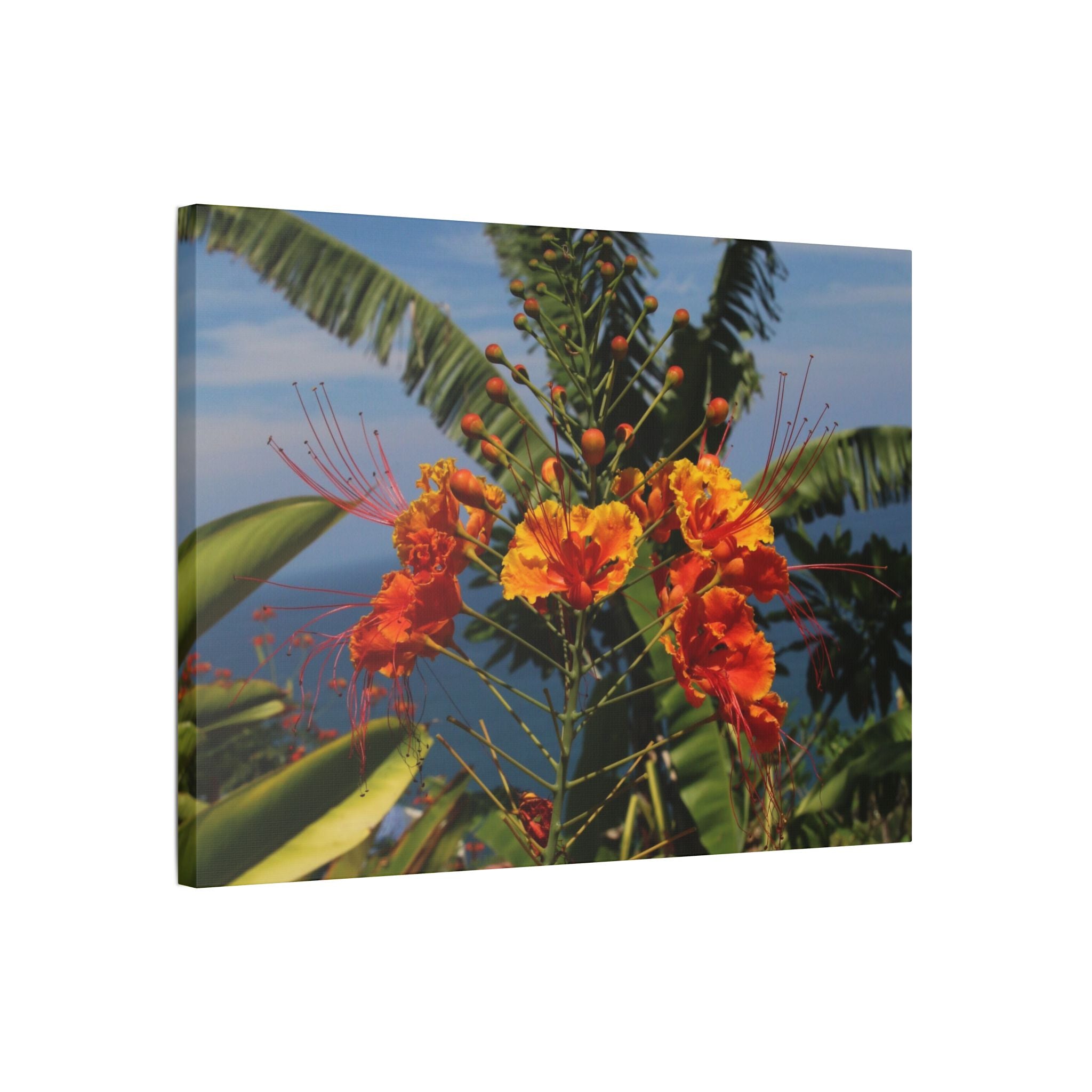 Tropical Flame Flower Satin Canvas Wall Art – Vibrant Orange Floral Stretched Print