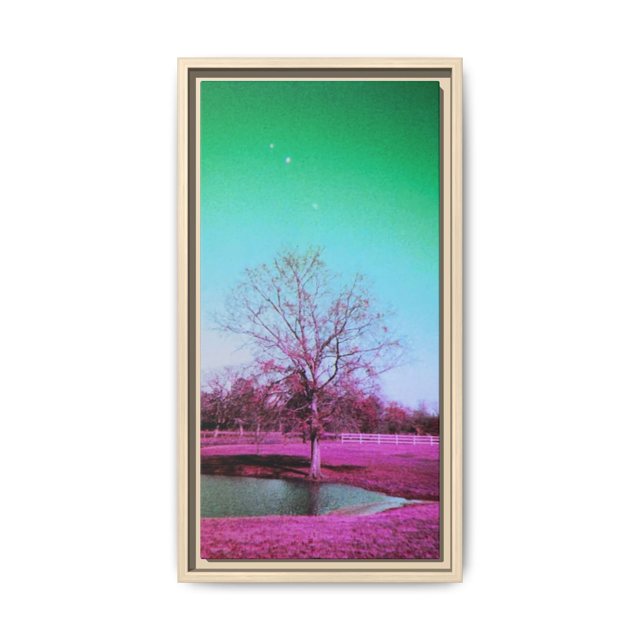 Pastel Paris, Tx Landscape Matte Canvas (Framed)