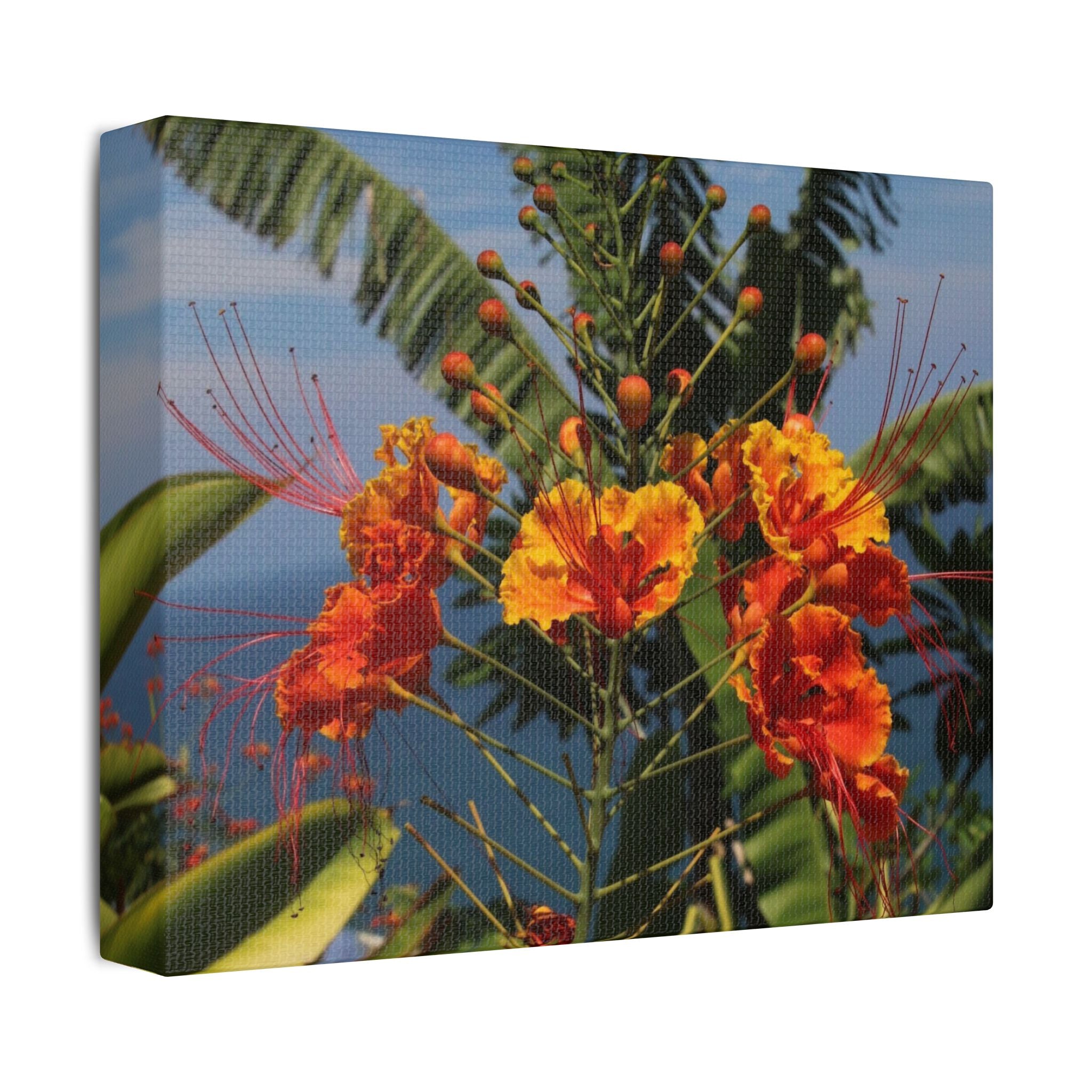 Tropical Flame Flower Satin Canvas Wall Art – Vibrant Orange Floral Stretched Print