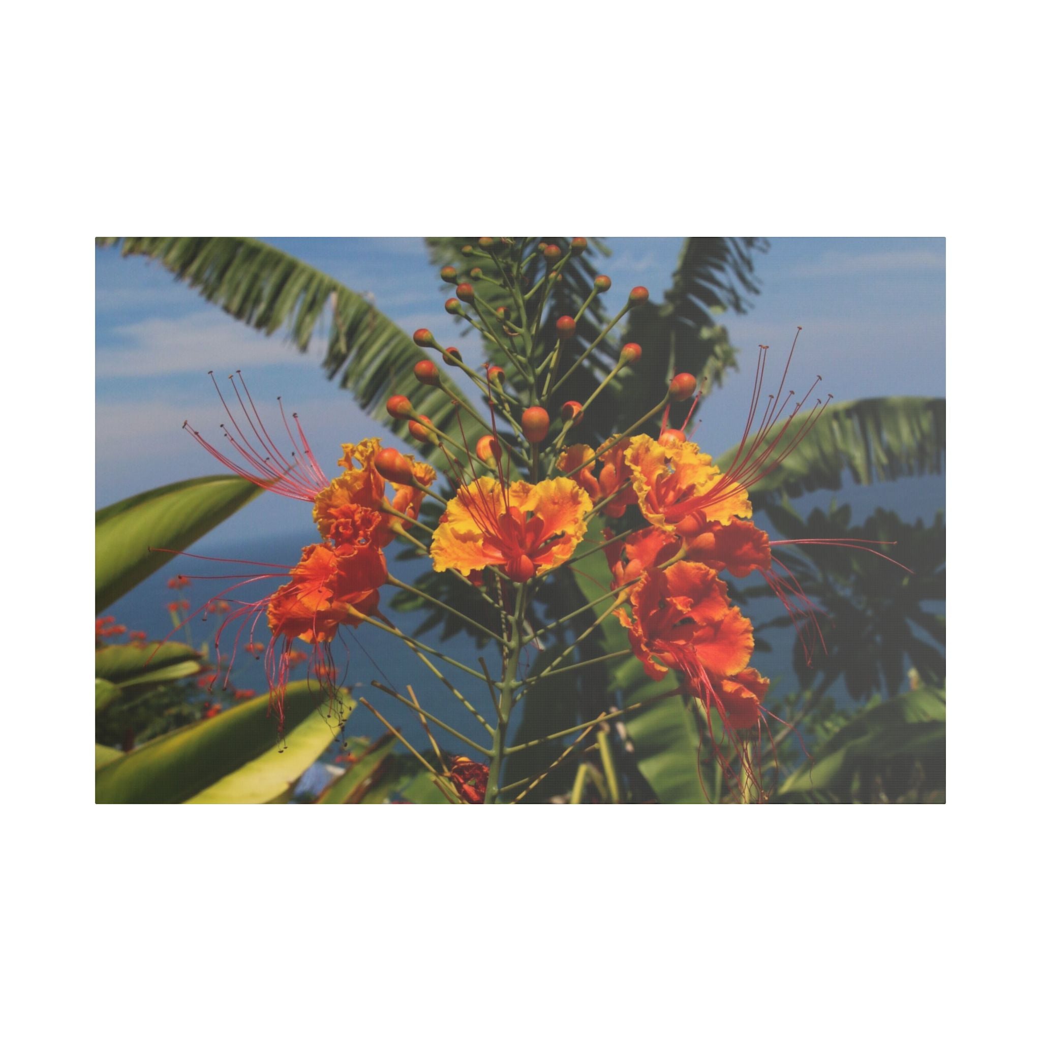 Tropical Flame Flower Satin Canvas Wall Art – Vibrant Orange Floral Stretched Print