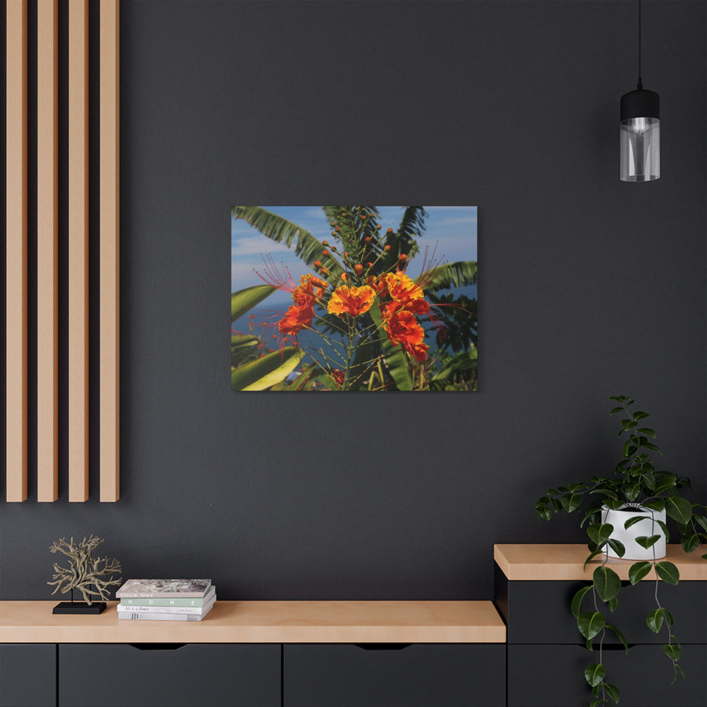 Tropical Flame Flower Satin Canvas Wall Art – Vibrant Orange Floral Stretched Print