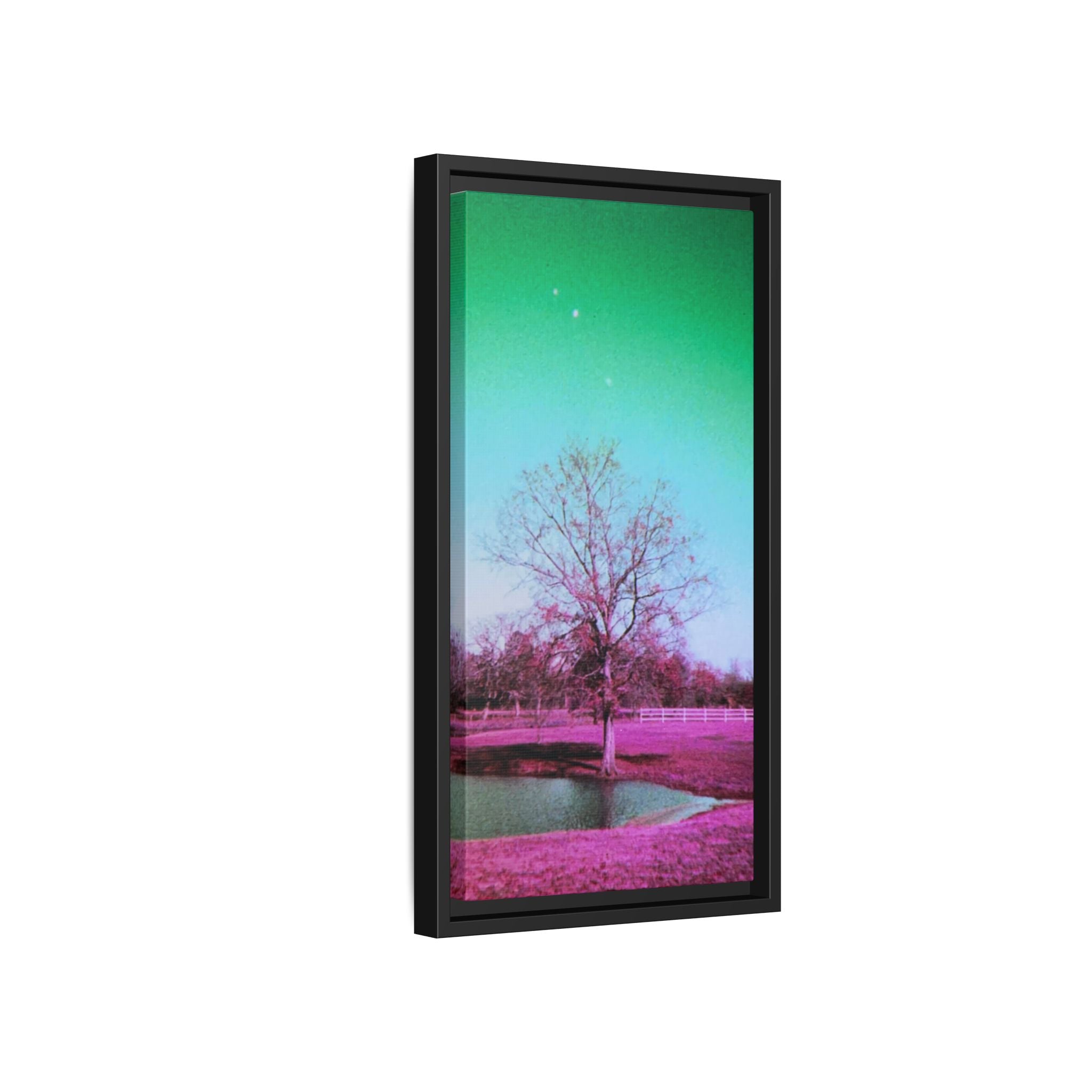 Pastel Paris, Tx Landscape Matte Canvas (Framed)