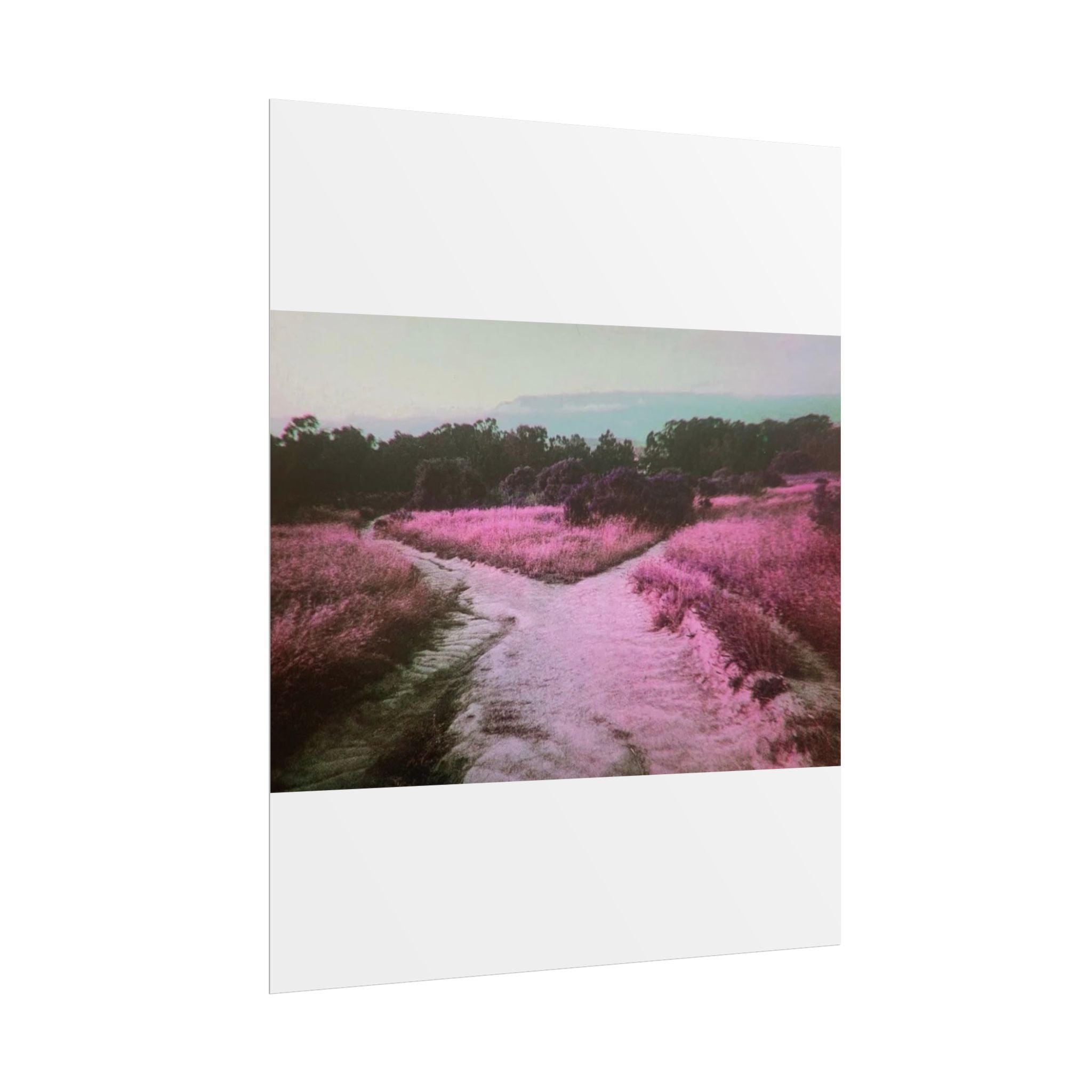 Rolled Posters