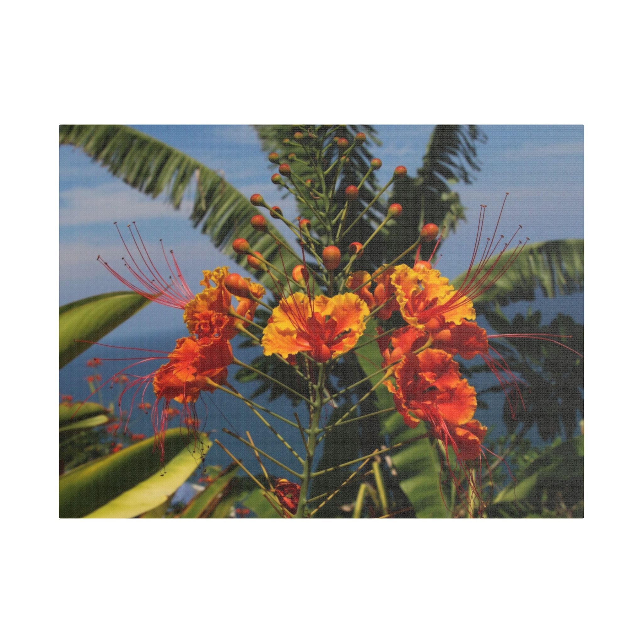 Tropical Flame Flower Satin Canvas Wall Art – Vibrant Orange Floral Stretched Print