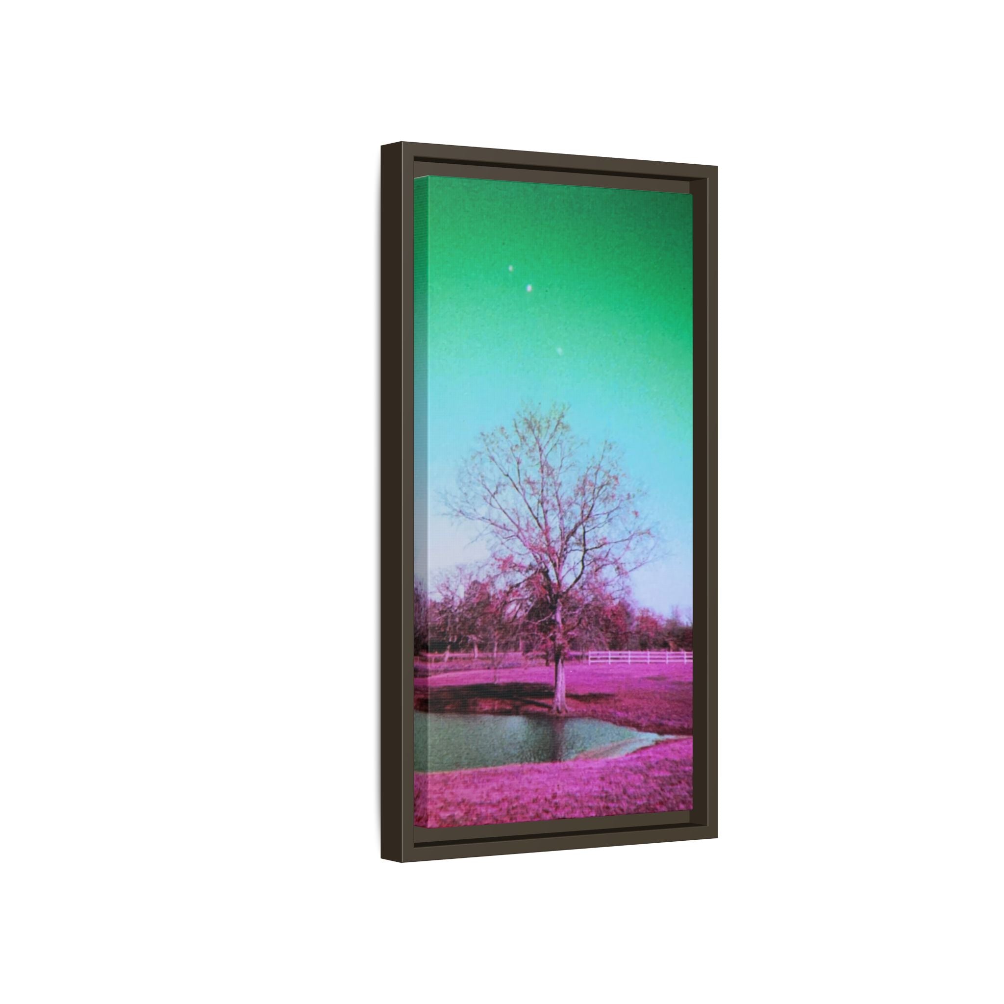 Pastel Paris, Tx Landscape Matte Canvas (Framed)