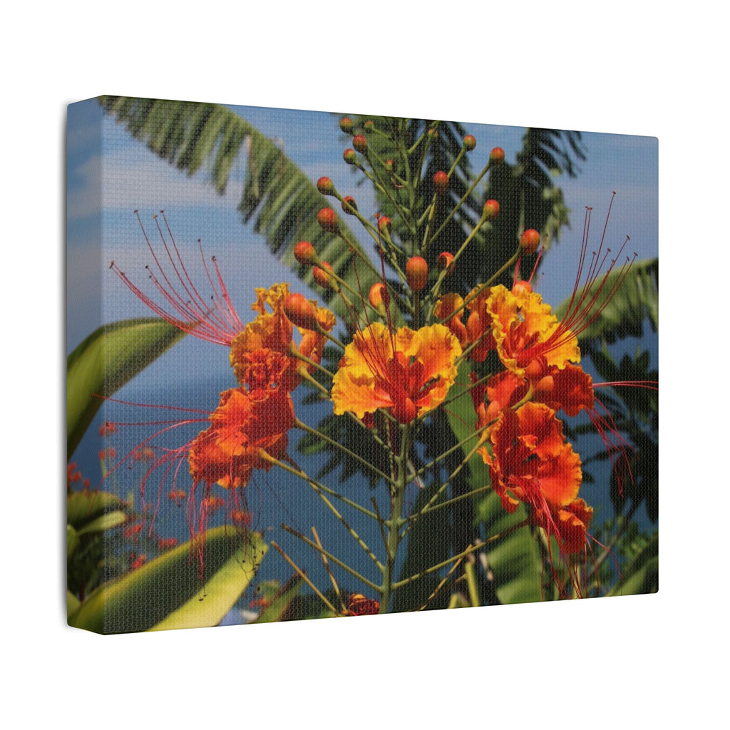 Tropical Flame Flower Satin Canvas Wall Art – Vibrant Orange Floral Stretched Print