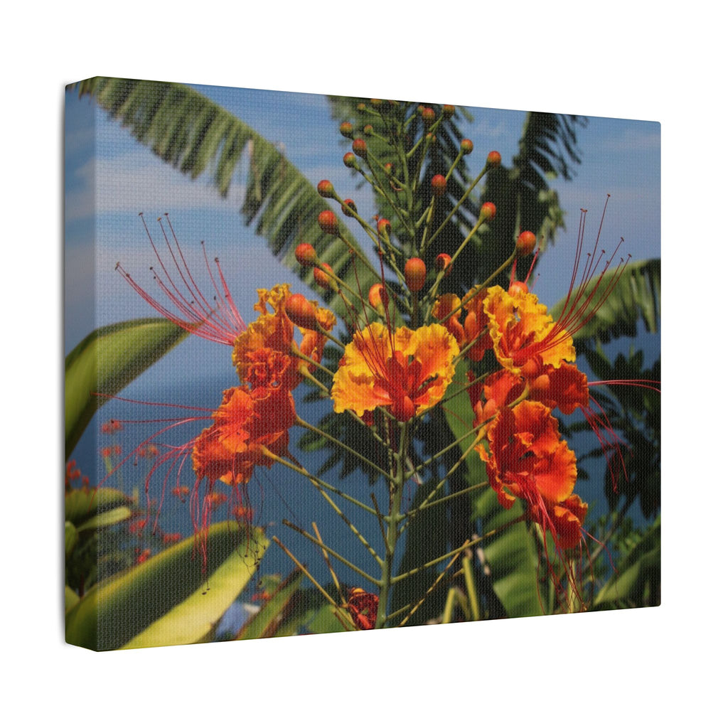 Tropical Flame Flower Satin Canvas Wall Art – Vibrant Orange Floral Stretched Print