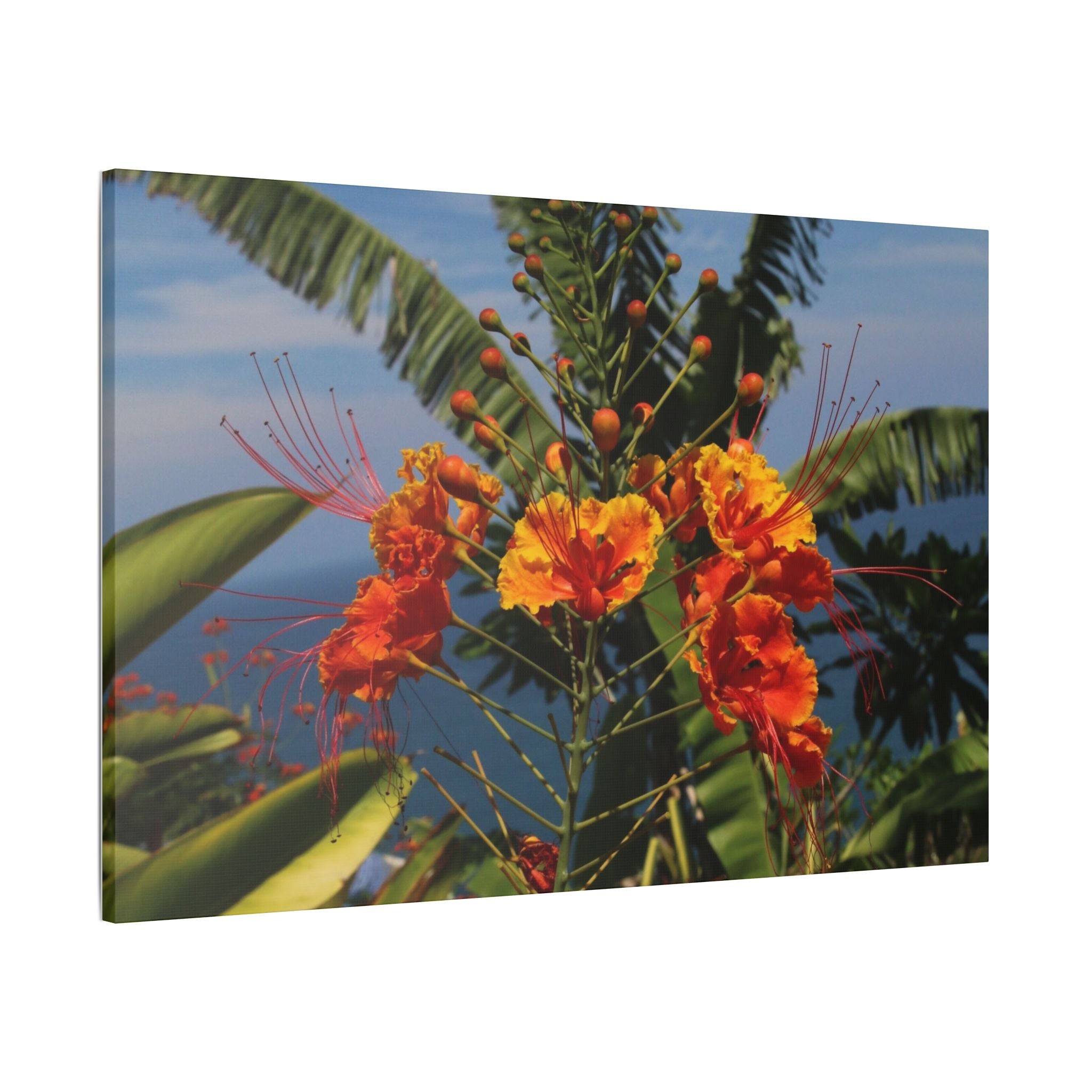 Tropical Flame Flower Satin Canvas Wall Art – Vibrant Orange Floral Stretched Print