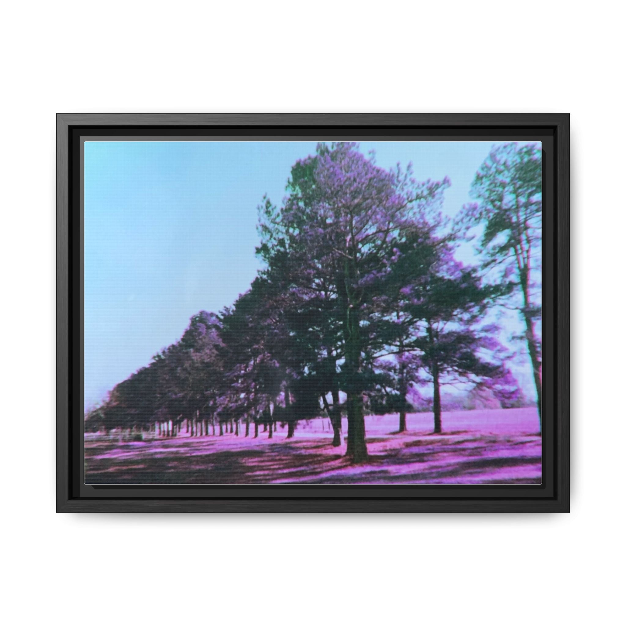Framed Matte Canvas Print — Lomochrome Purple Tree Landscape