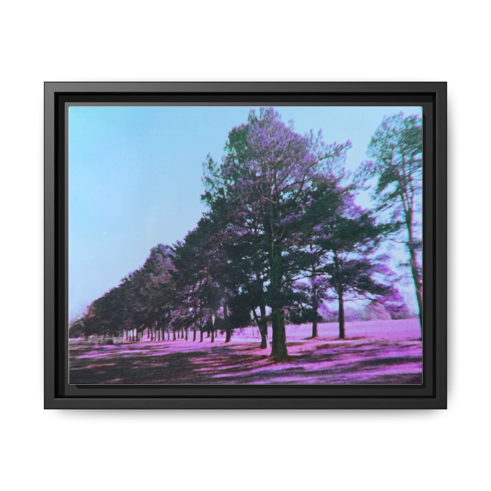 Framed Matte Canvas Print — Lomochrome Purple Tree Landscape