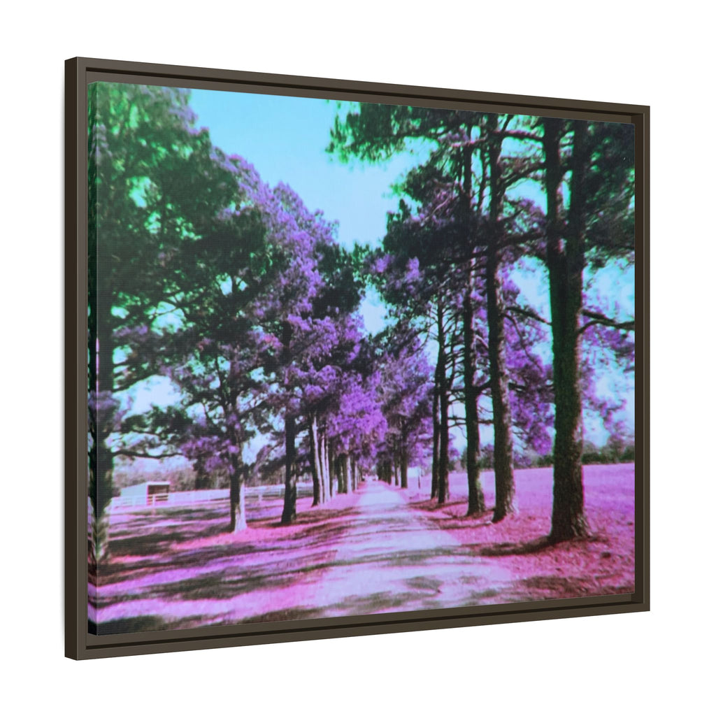 Framed Matte Canvas Print — Paris,Texas Lomochrome Purple Landscape