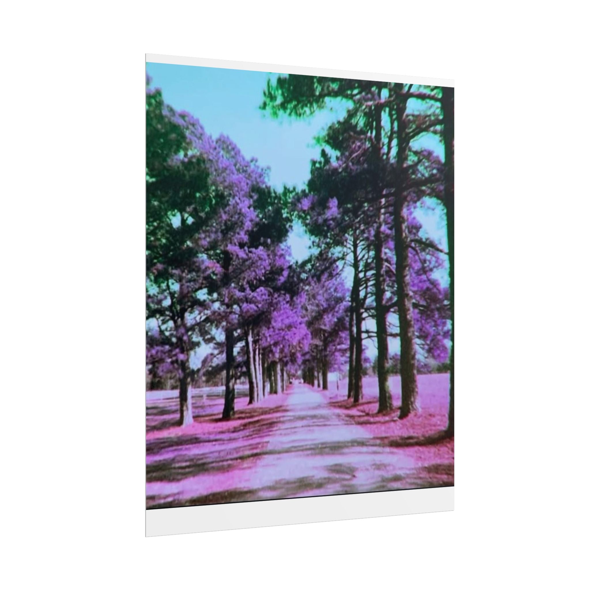 Rolled Posters
