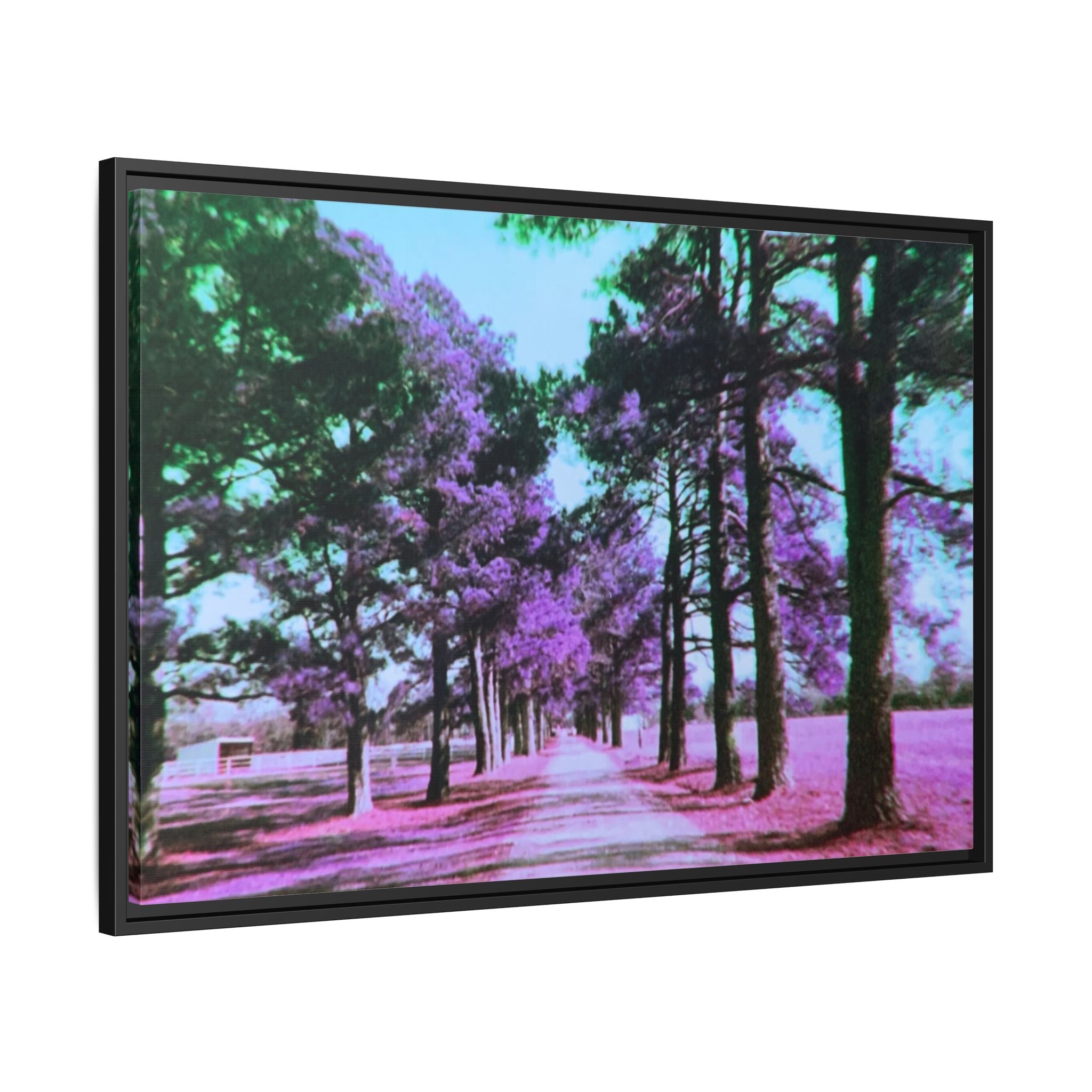 Framed Matte Canvas Print — Paris,Texas Lomochrome Purple Landscape