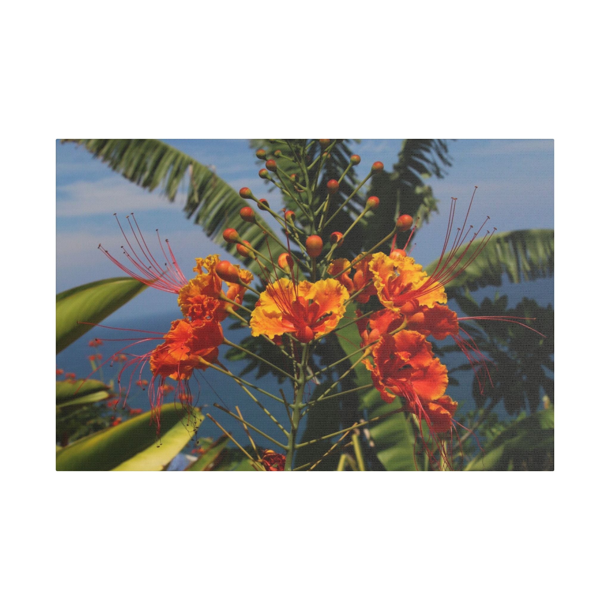 Tropical Flame Flower Satin Canvas Wall Art – Vibrant Orange Floral Stretched Print