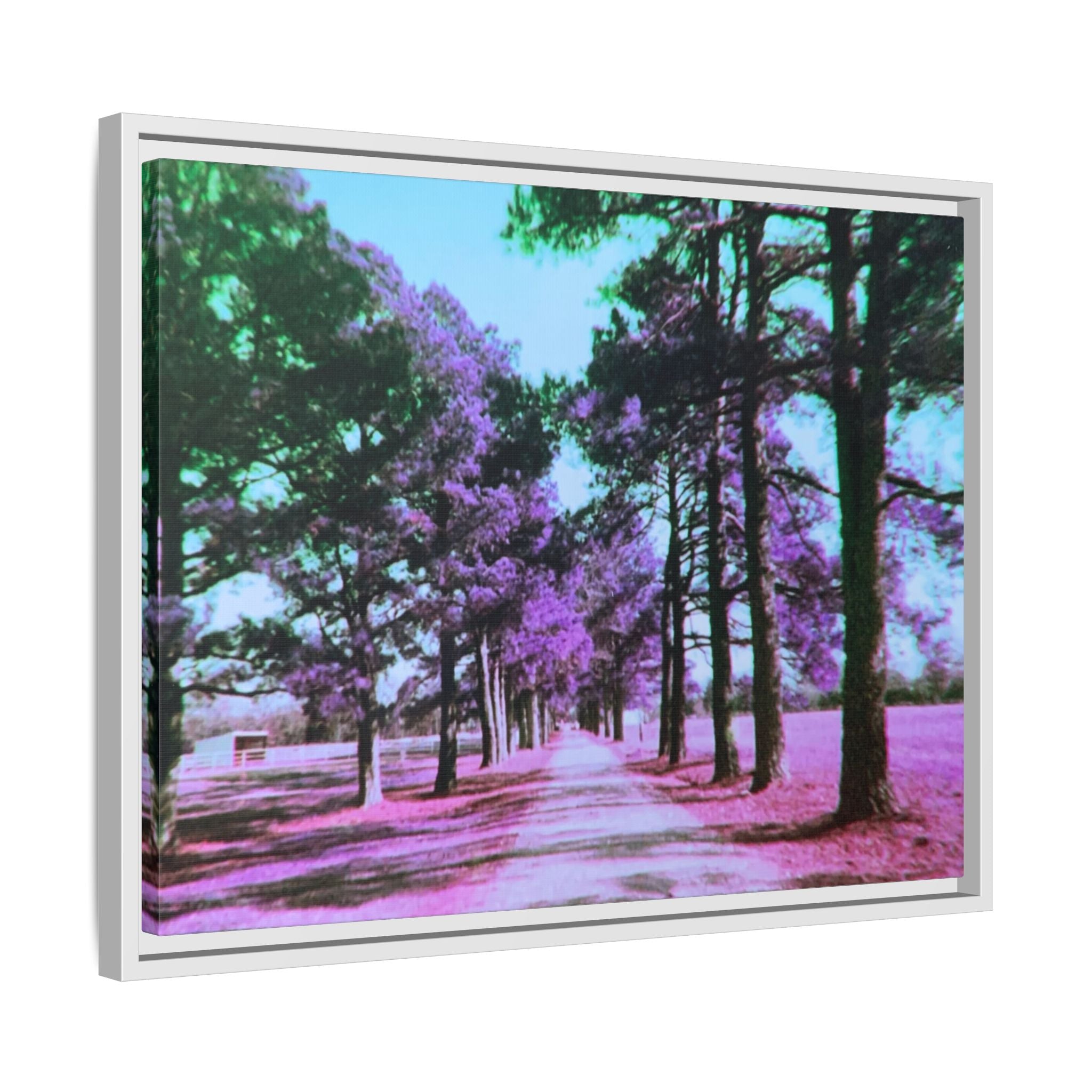 Framed Matte Canvas Print — Paris,Texas Lomochrome Purple Landscape