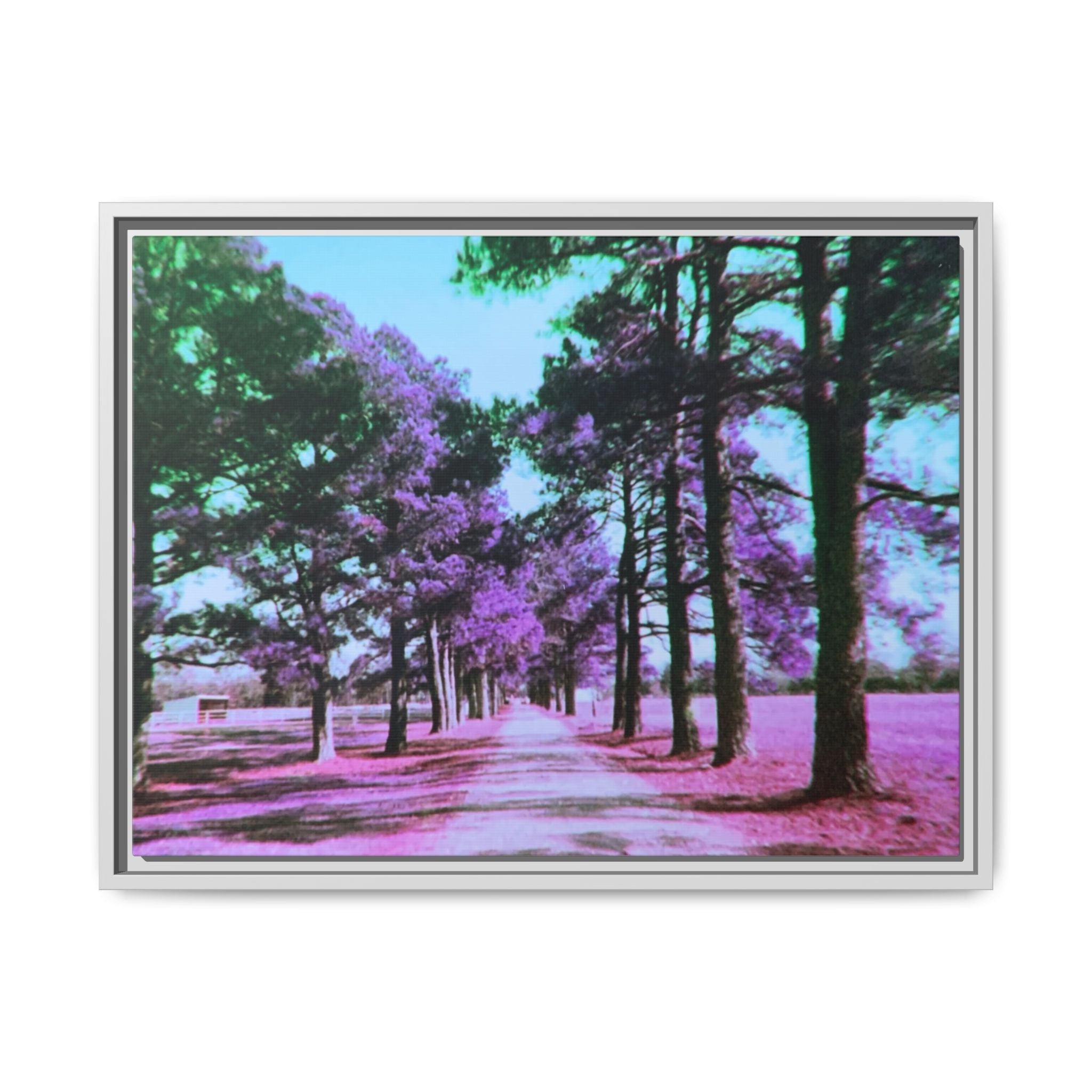 Framed Matte Canvas Print — Paris,Texas Lomochrome Purple Landscape