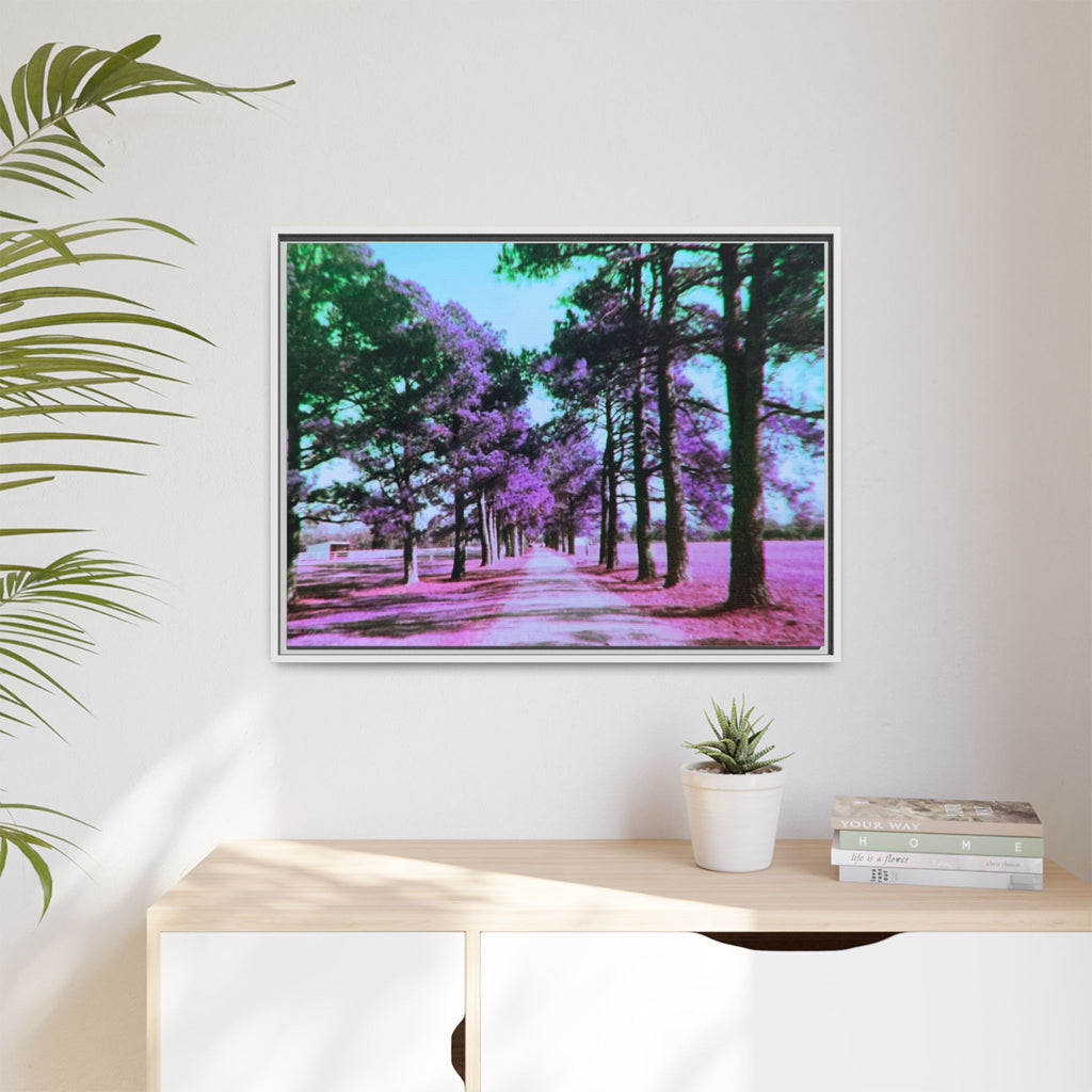 Framed Matte Canvas Print — Paris,Texas Lomochrome Purple Landscape