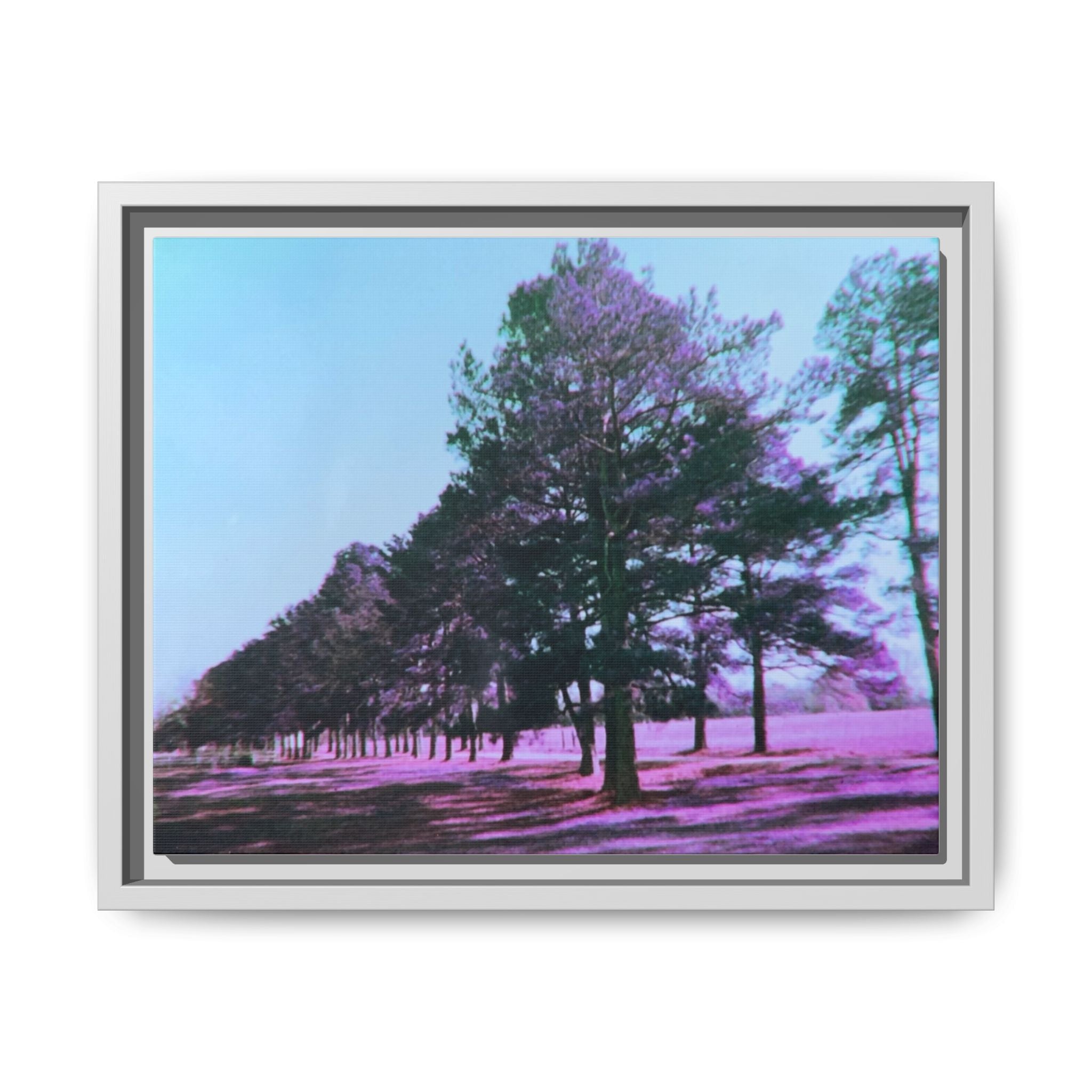 Framed Matte Canvas Print — Lomochrome Purple Tree Landscape