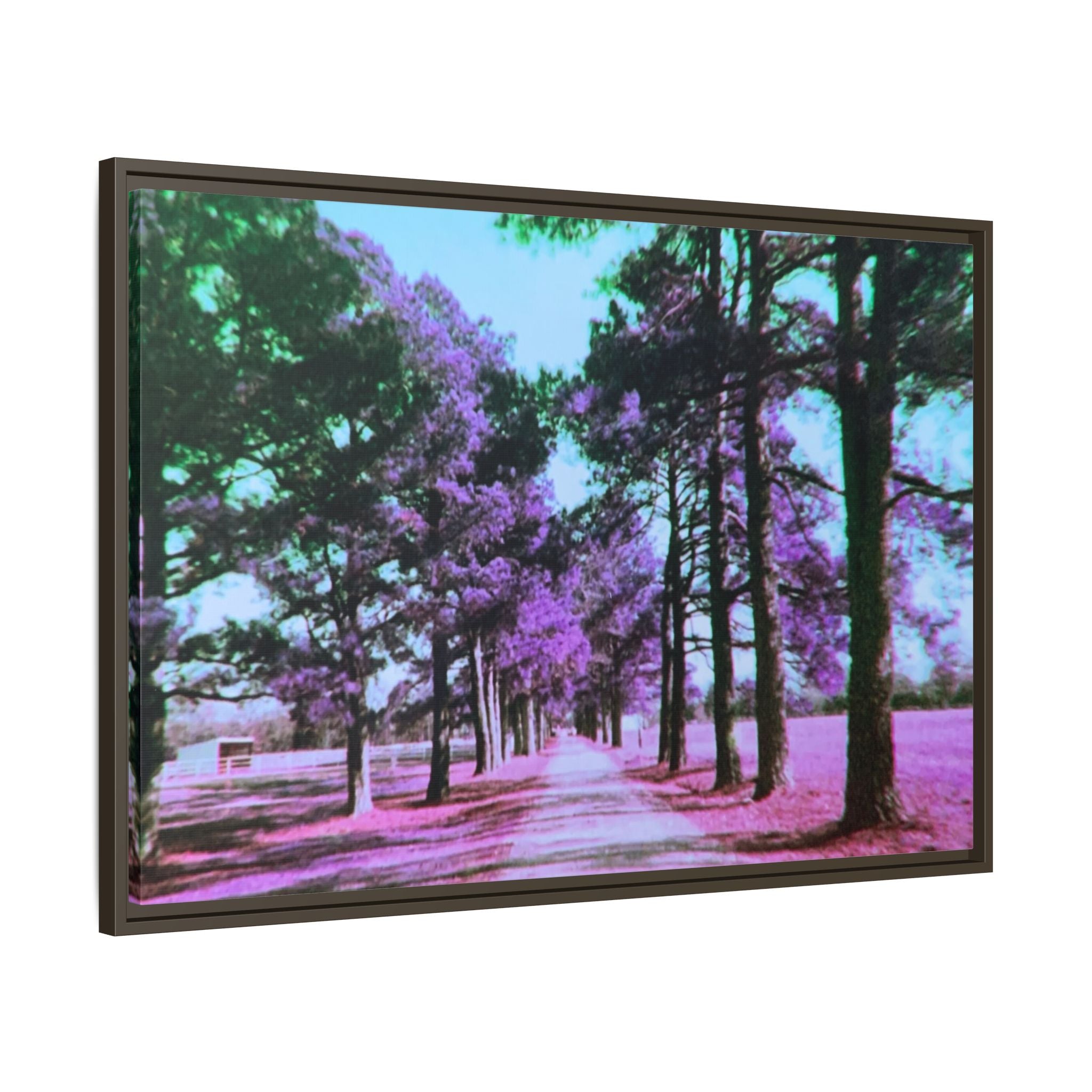 Framed Matte Canvas Print — Paris,Texas Lomochrome Purple Landscape