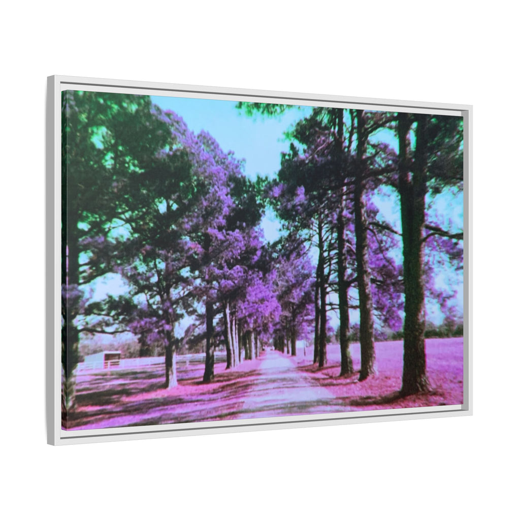 Framed Matte Canvas Print — Paris,Texas Lomochrome Purple Landscape