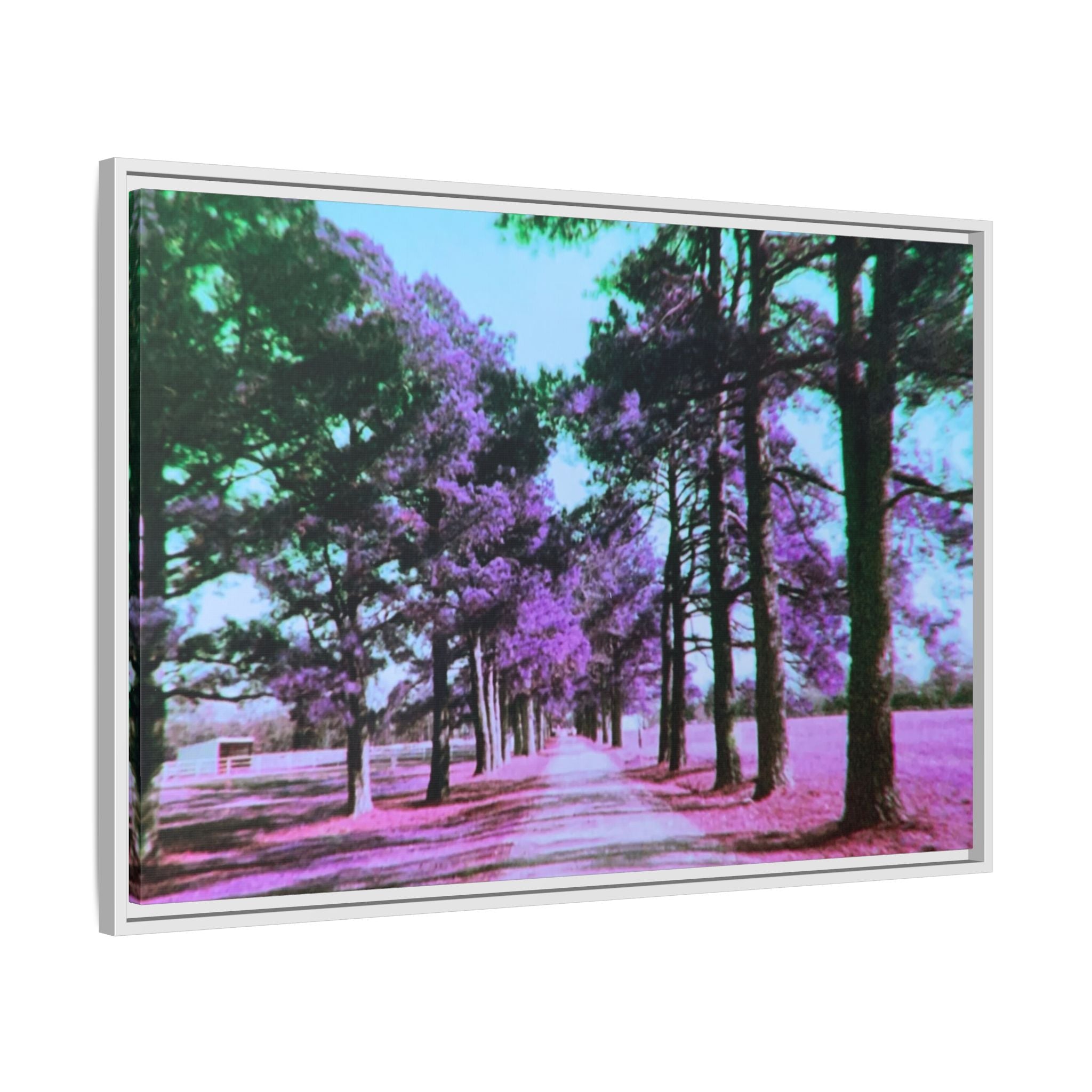 Framed Matte Canvas Print — Paris,Texas Lomochrome Purple Landscape