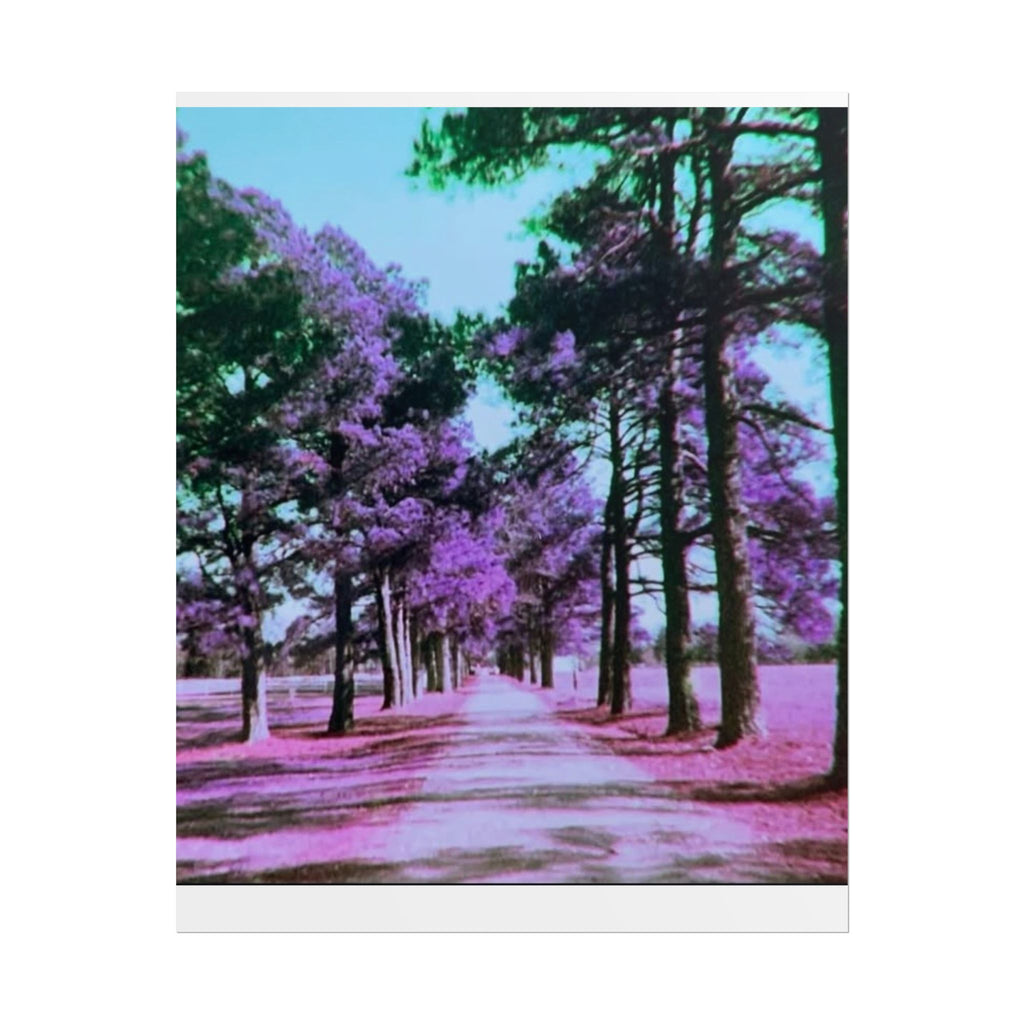 Rolled Posters