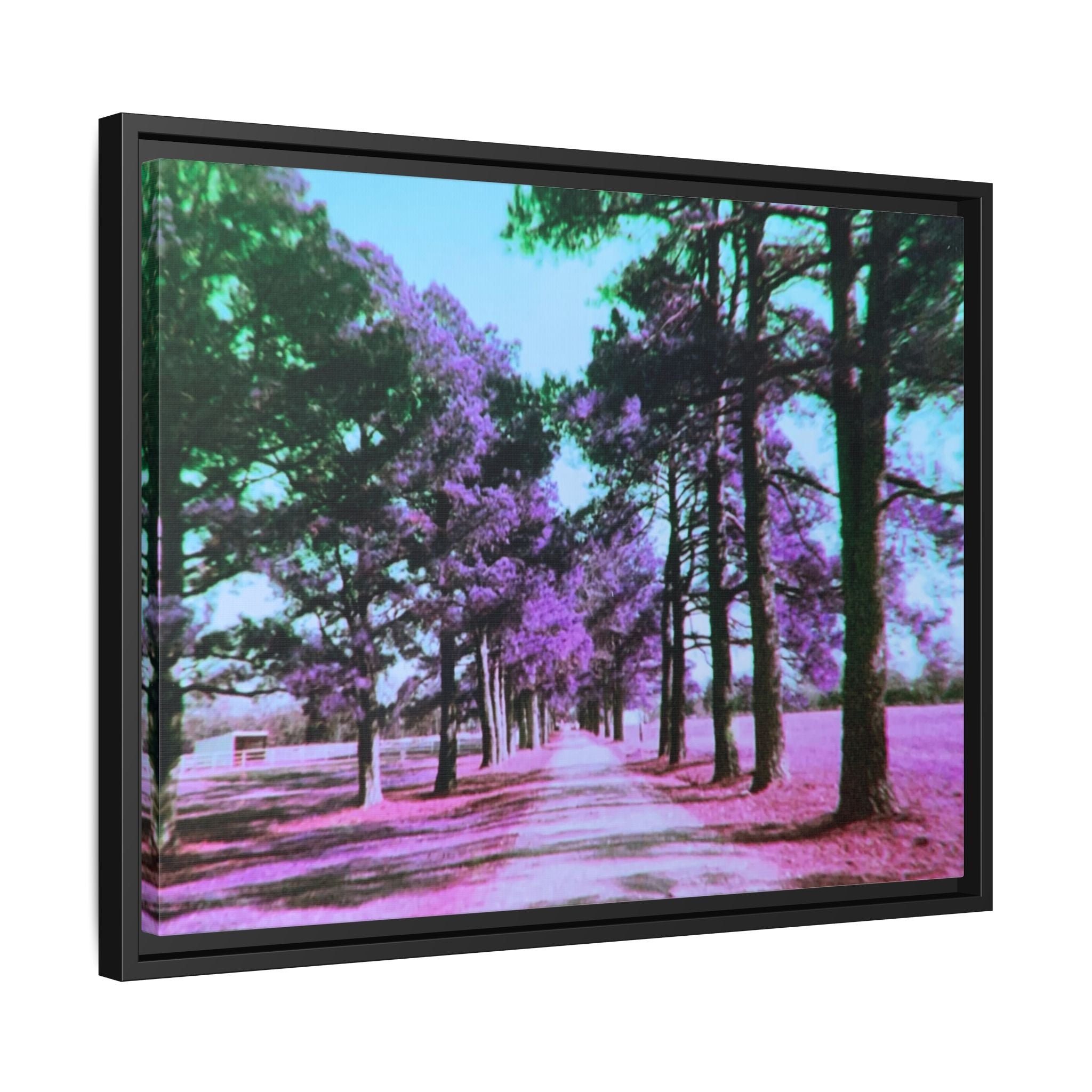 Framed Matte Canvas Print — Paris,Texas Lomochrome Purple Landscape