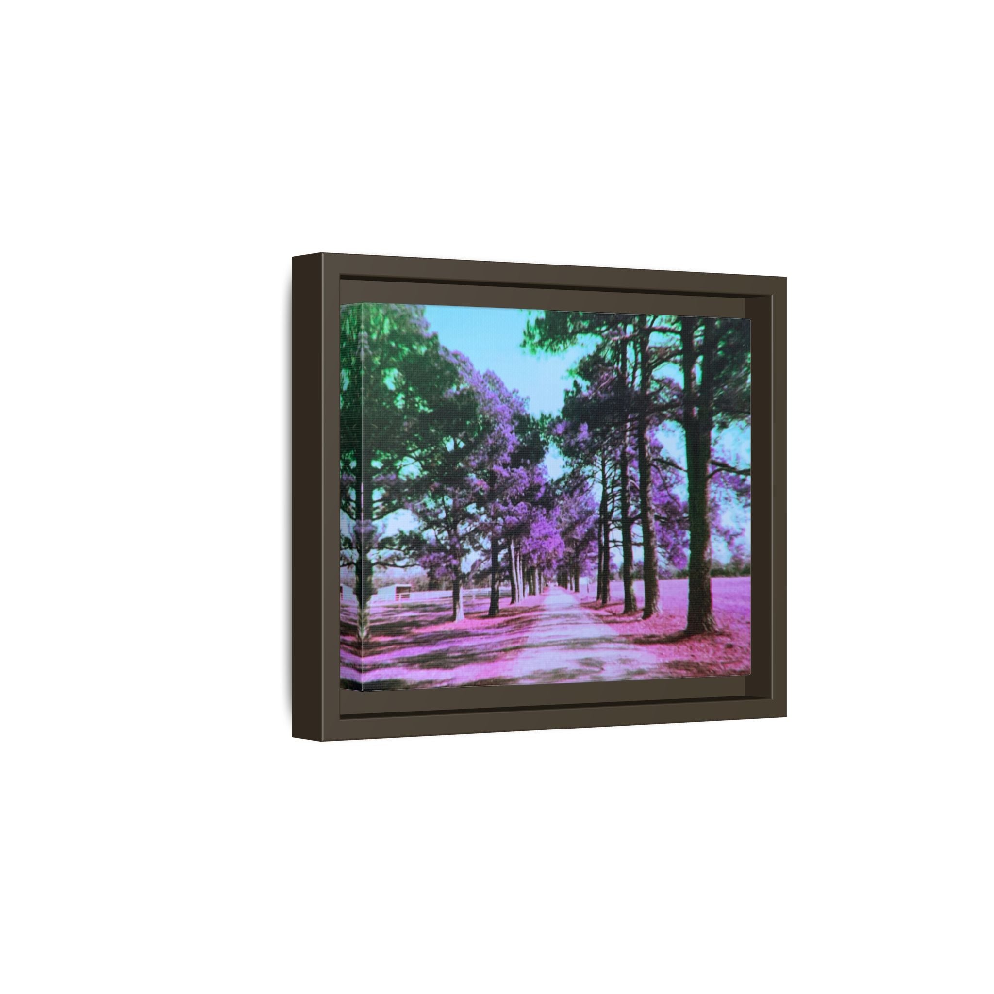 Framed Matte Canvas Print — Paris,Texas Lomochrome Purple Landscape