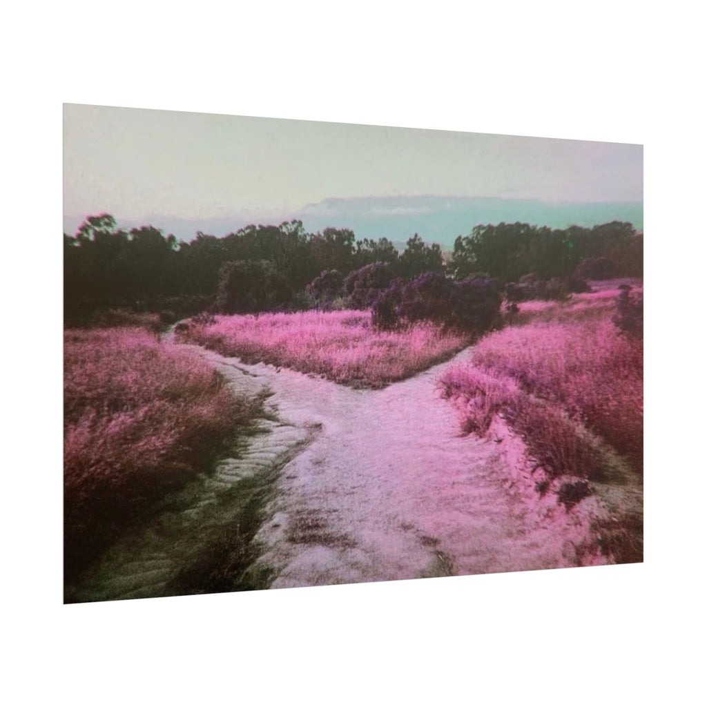Rolled Posters