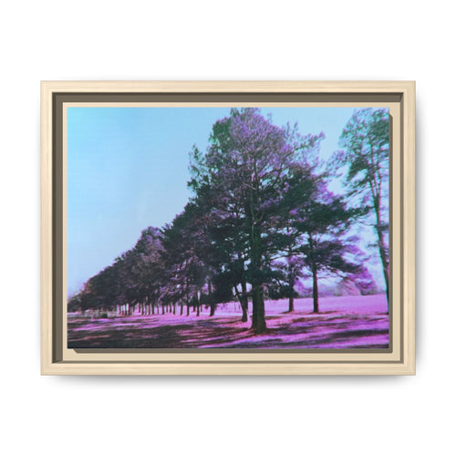 Framed Matte Canvas Print — Lomochrome Purple Tree Landscape