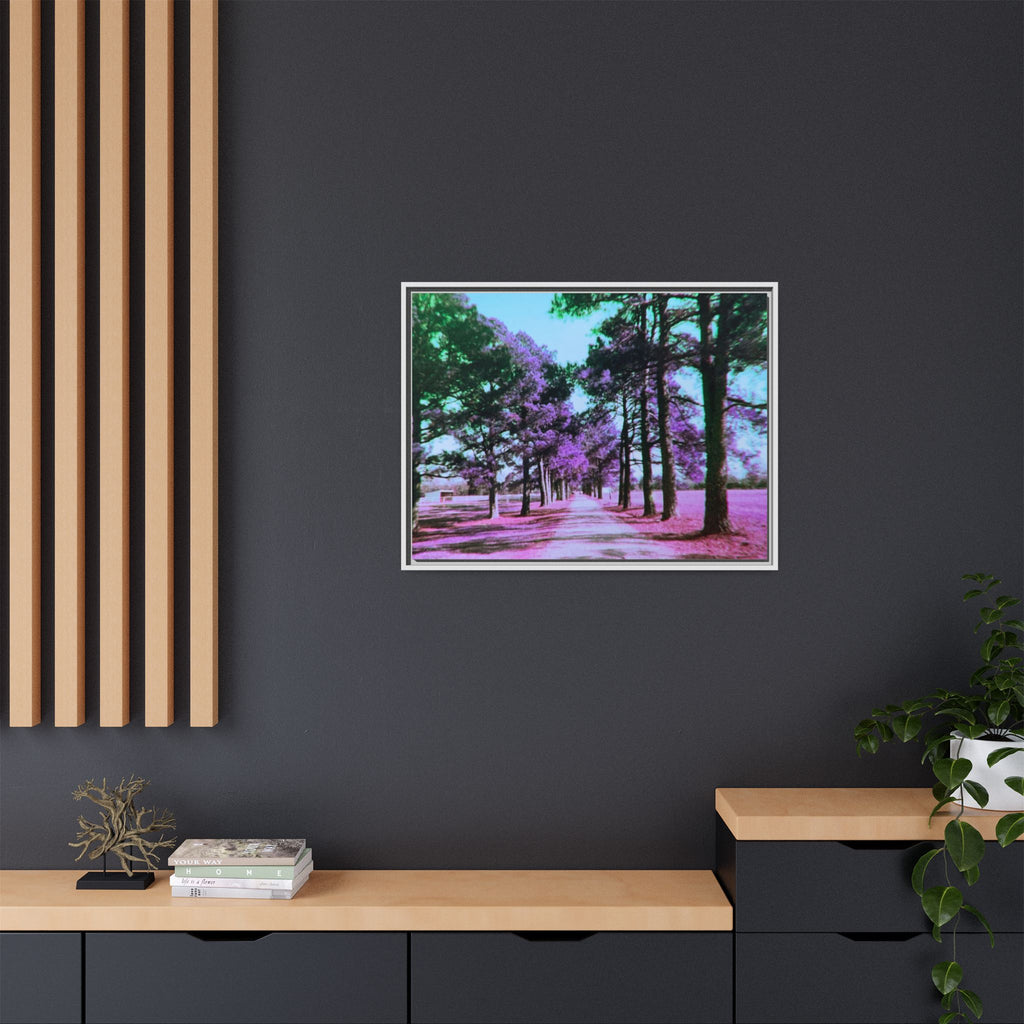 Framed Matte Canvas Print — Paris,Texas Lomochrome Purple Landscape