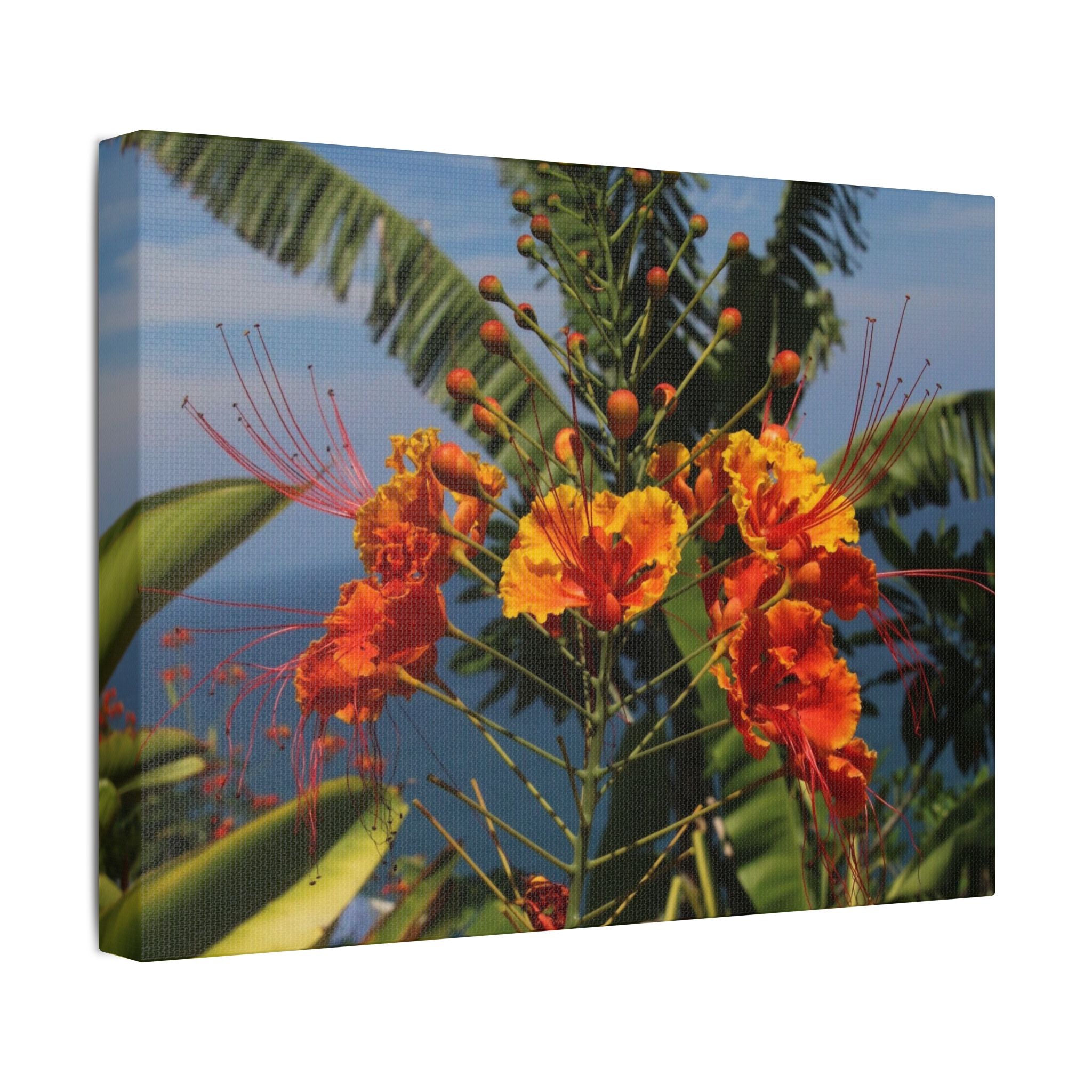 Tropical Flame Flower Satin Canvas Wall Art – Vibrant Orange Floral Stretched Print