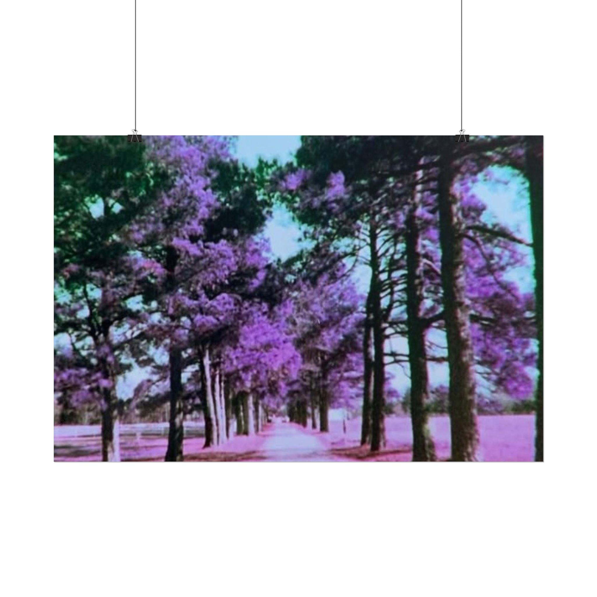 Rolled Posters